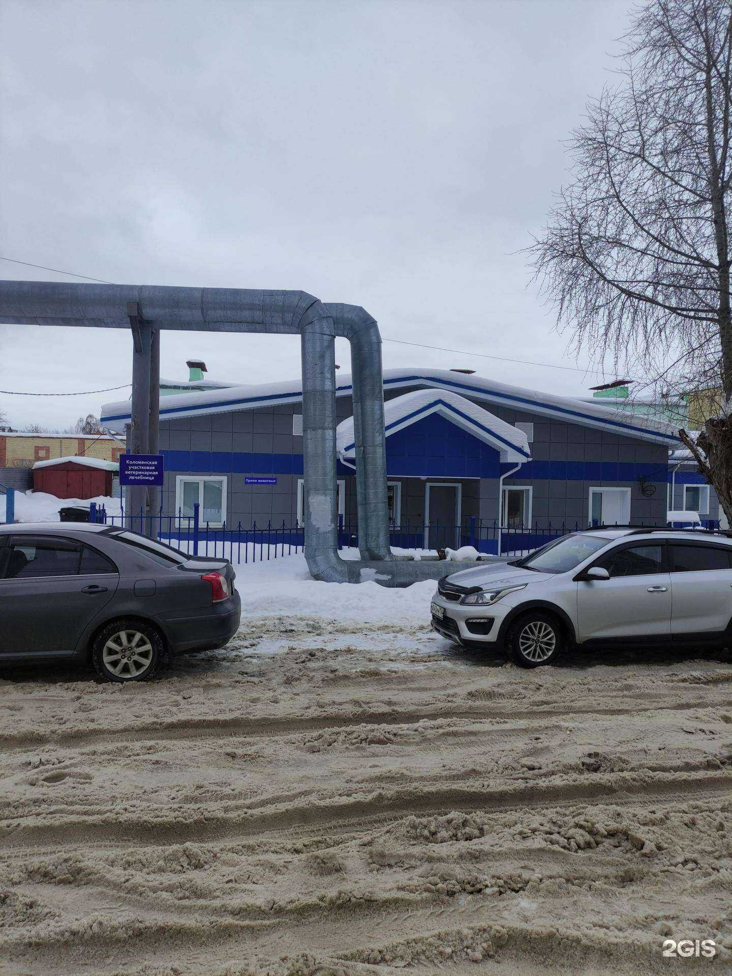 Отзывы на компанию Коломенская участковая ветеринарная лечебница в г. Коломна c фото