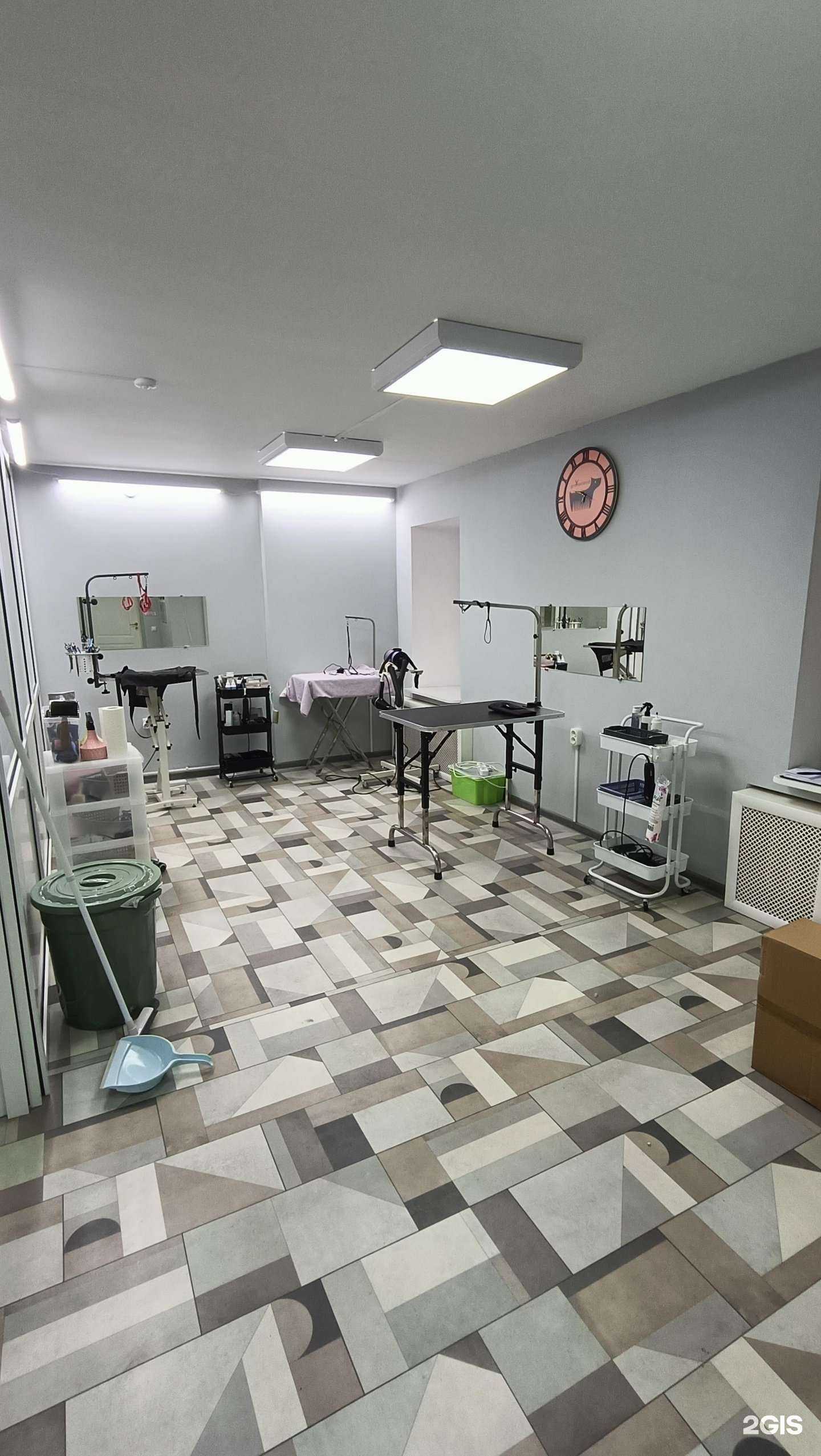 Отзывы на компанию Groomland в г. Липецк c фото