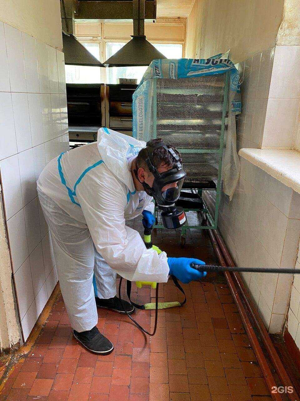 Отзывы на компанию Дезэффект в г. Красноярск c фото