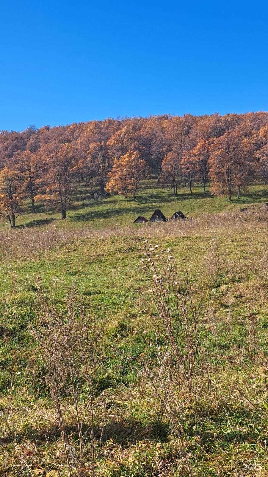 Отзывы на компанию Красноусольский в Уфе c фото
