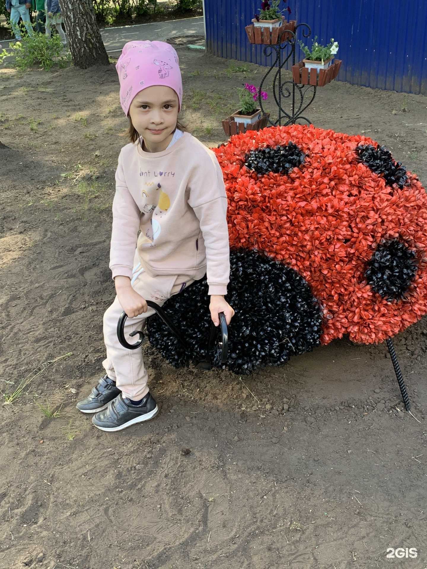 Отзывы на компанию Детский сад №229 в Ульяновске c фото