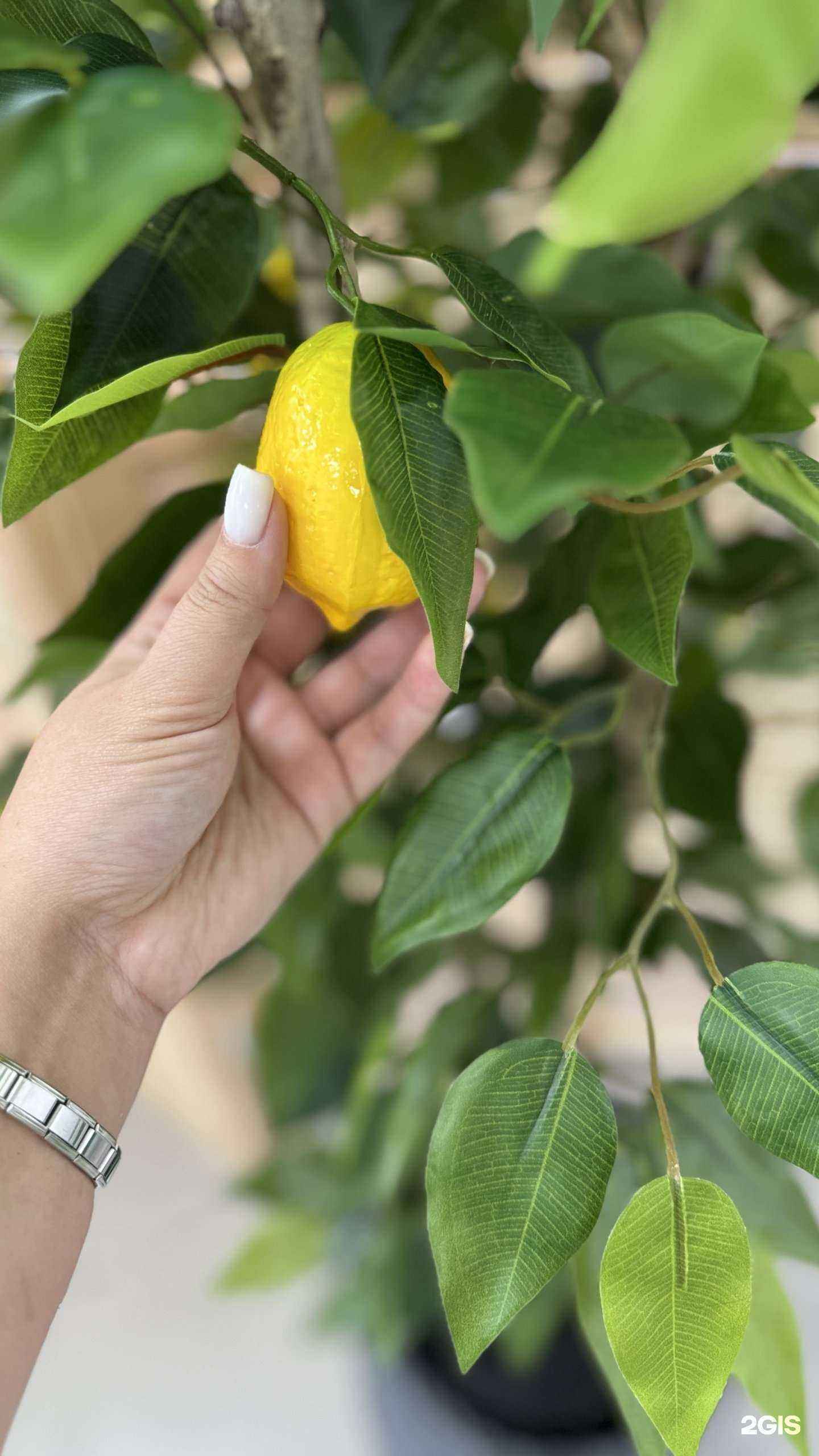 Отзывы на компанию My green home в Уссурийске c фото