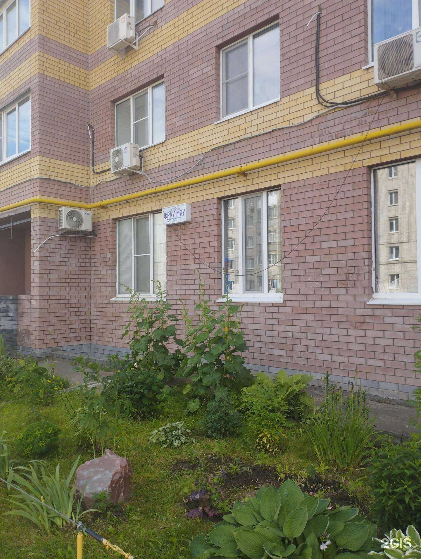 Отзывы на компанию Фрау Мяу в Боре c фото