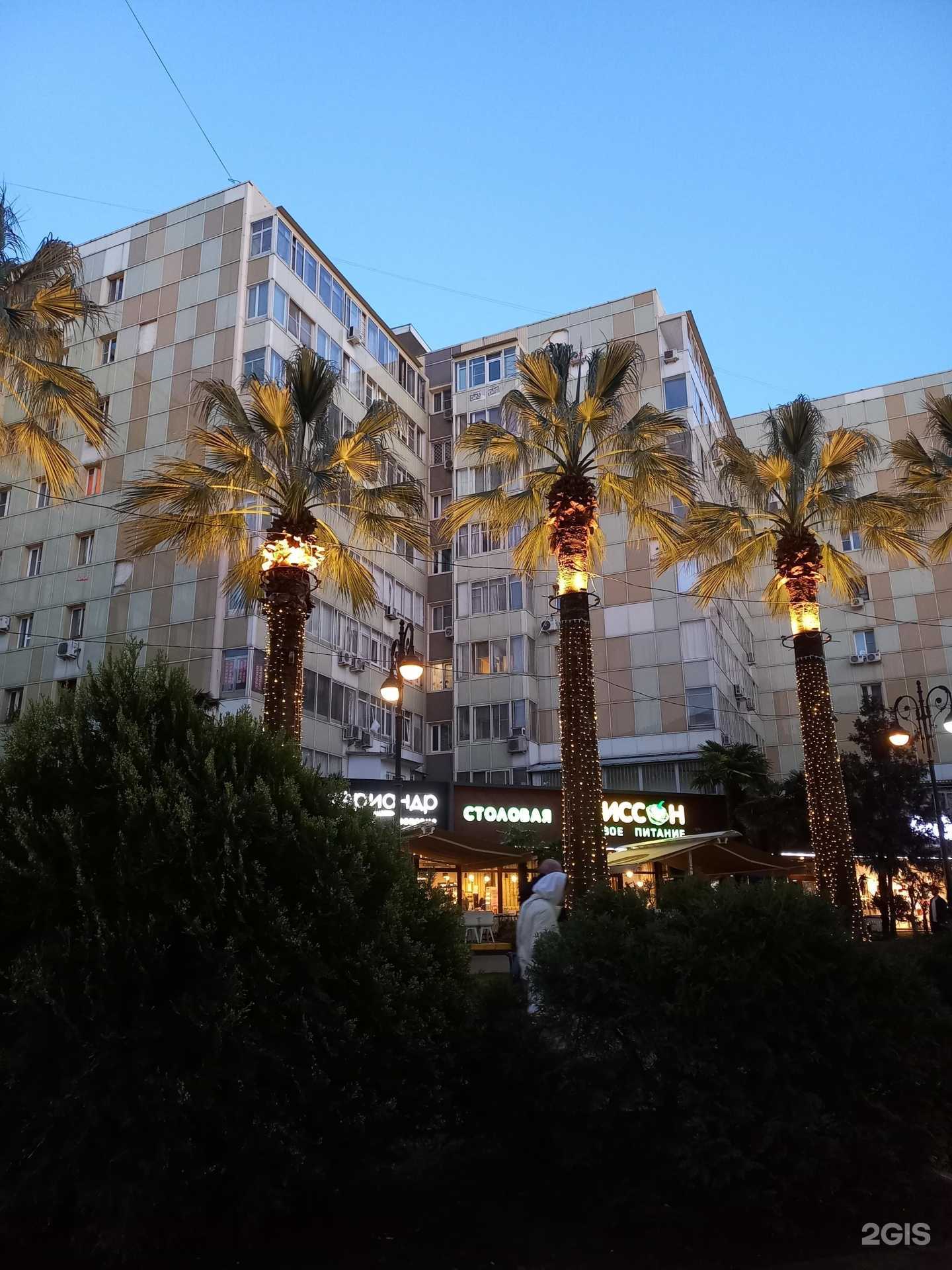 Отзывы на компанию Неудержимые в Сочи c фото - фотография 2 из 2