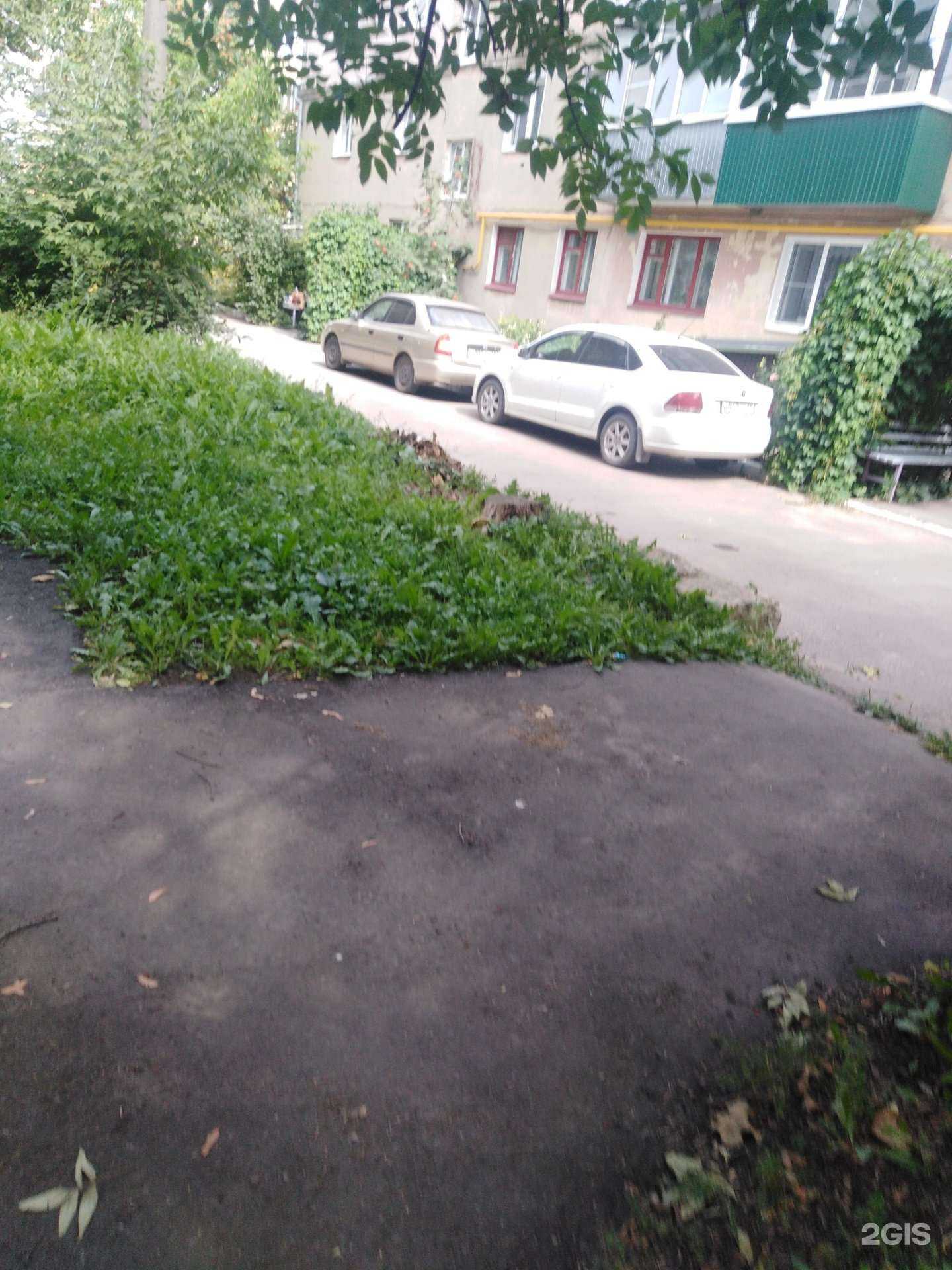 Отзывы на компанию Продюсерский центр в Тамбове c фото - фотография 2 из 2