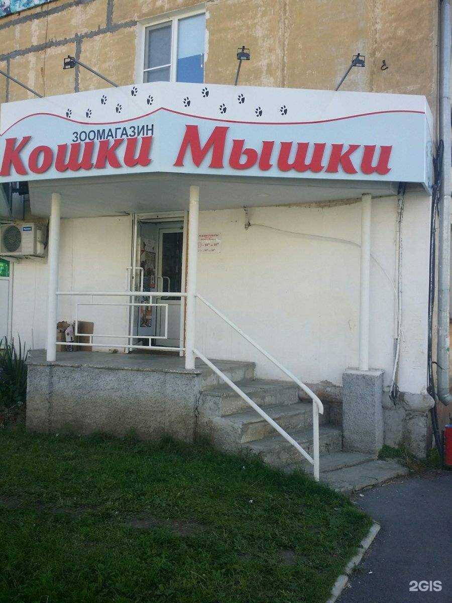 Отзывы на компанию Кошки-мышки в г. Нижний Тагил c фото