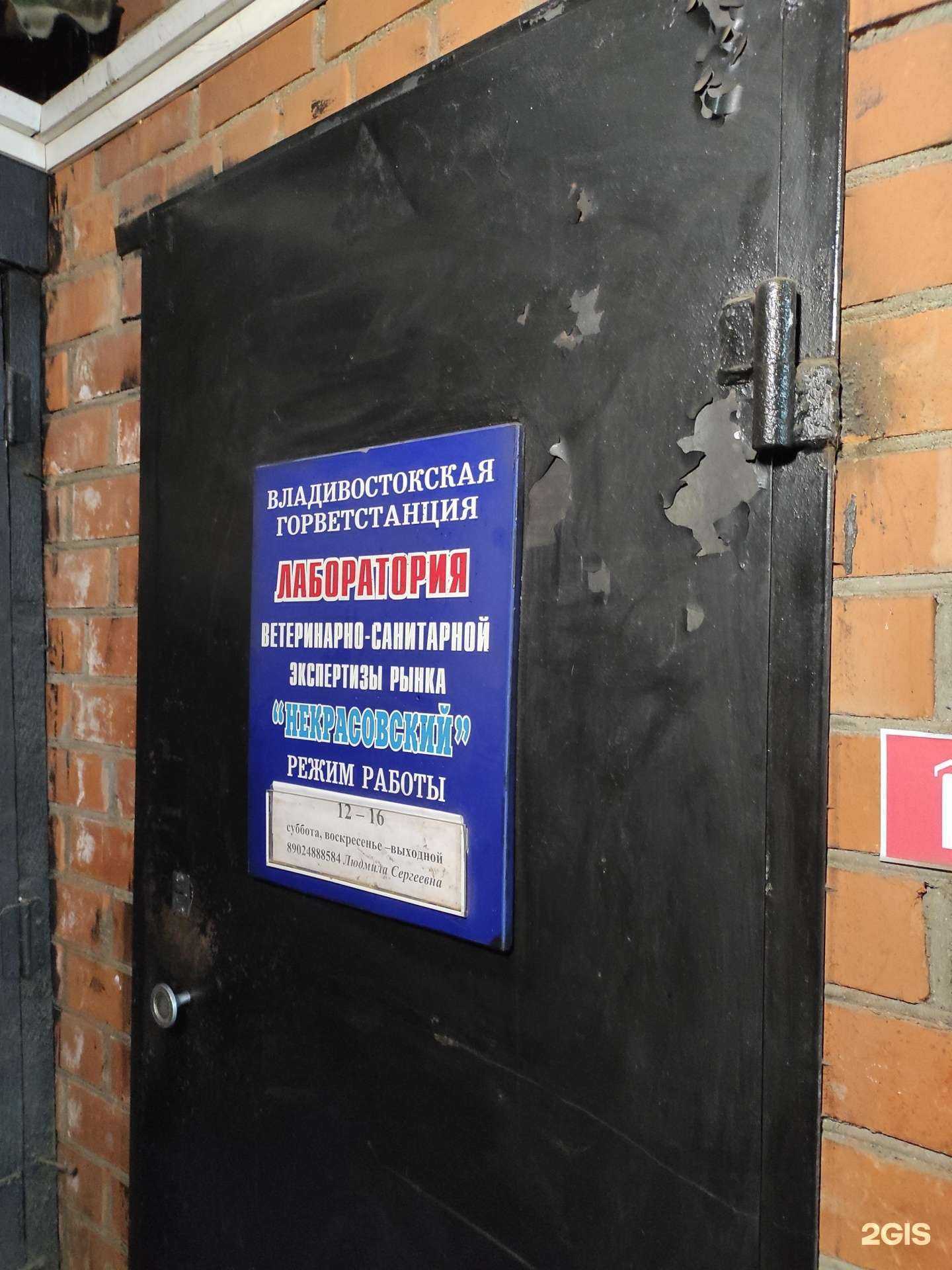 Отзывы на компанию Некрасовский рынок в г. Владивосток c фото