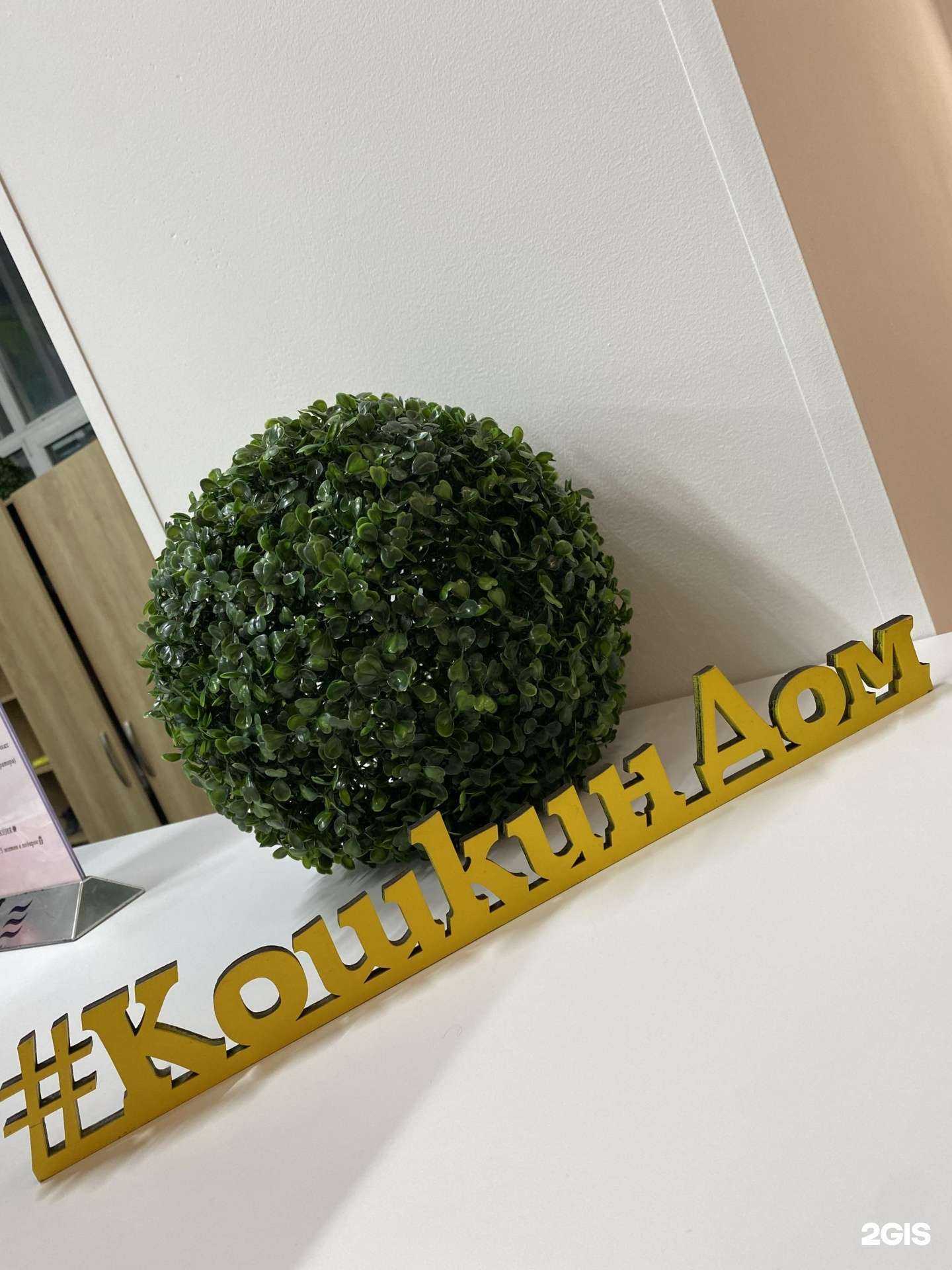 Отзывы на компанию Cat house в г. Ачинск c фото