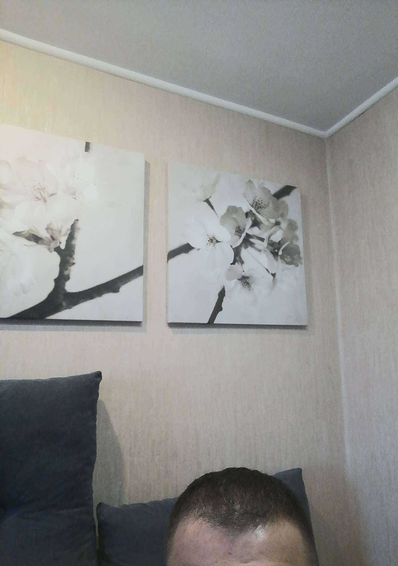 Отзывы на компанию Чёлка в Костроме c фото