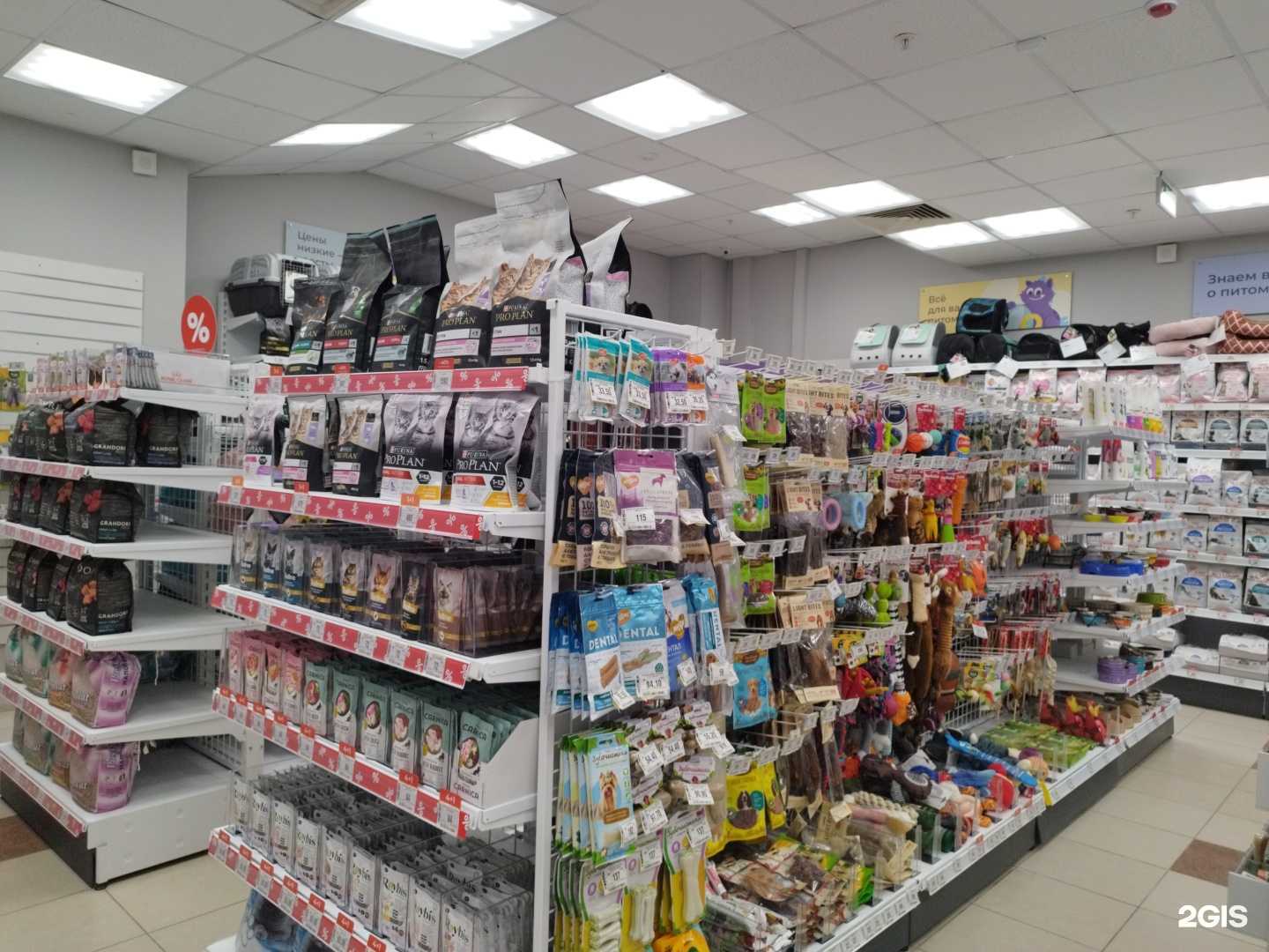 Отзывы на компанию Зоозавр в Перми c фото