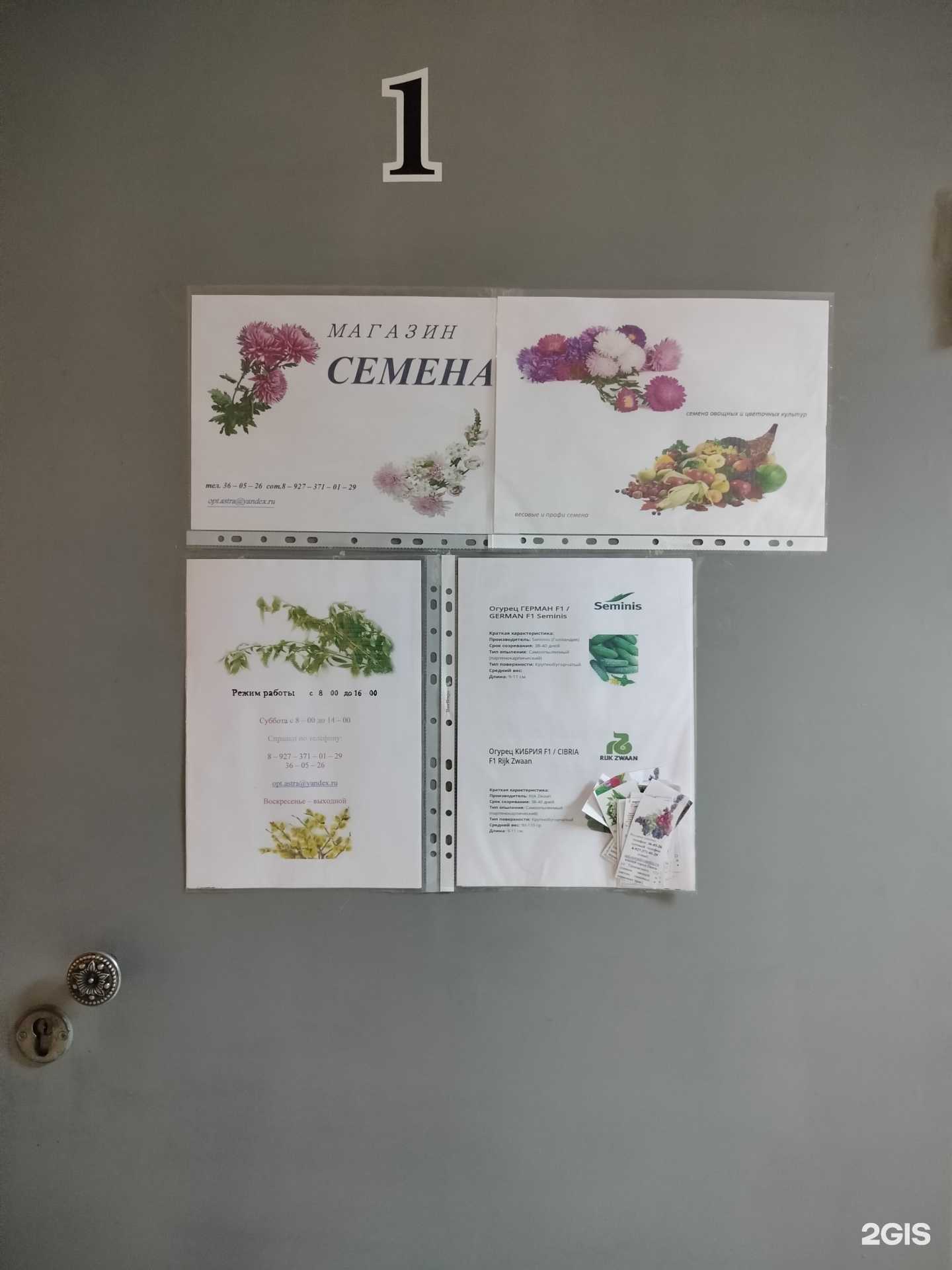 Отзывы на компанию Семена в г. Пенза c фото