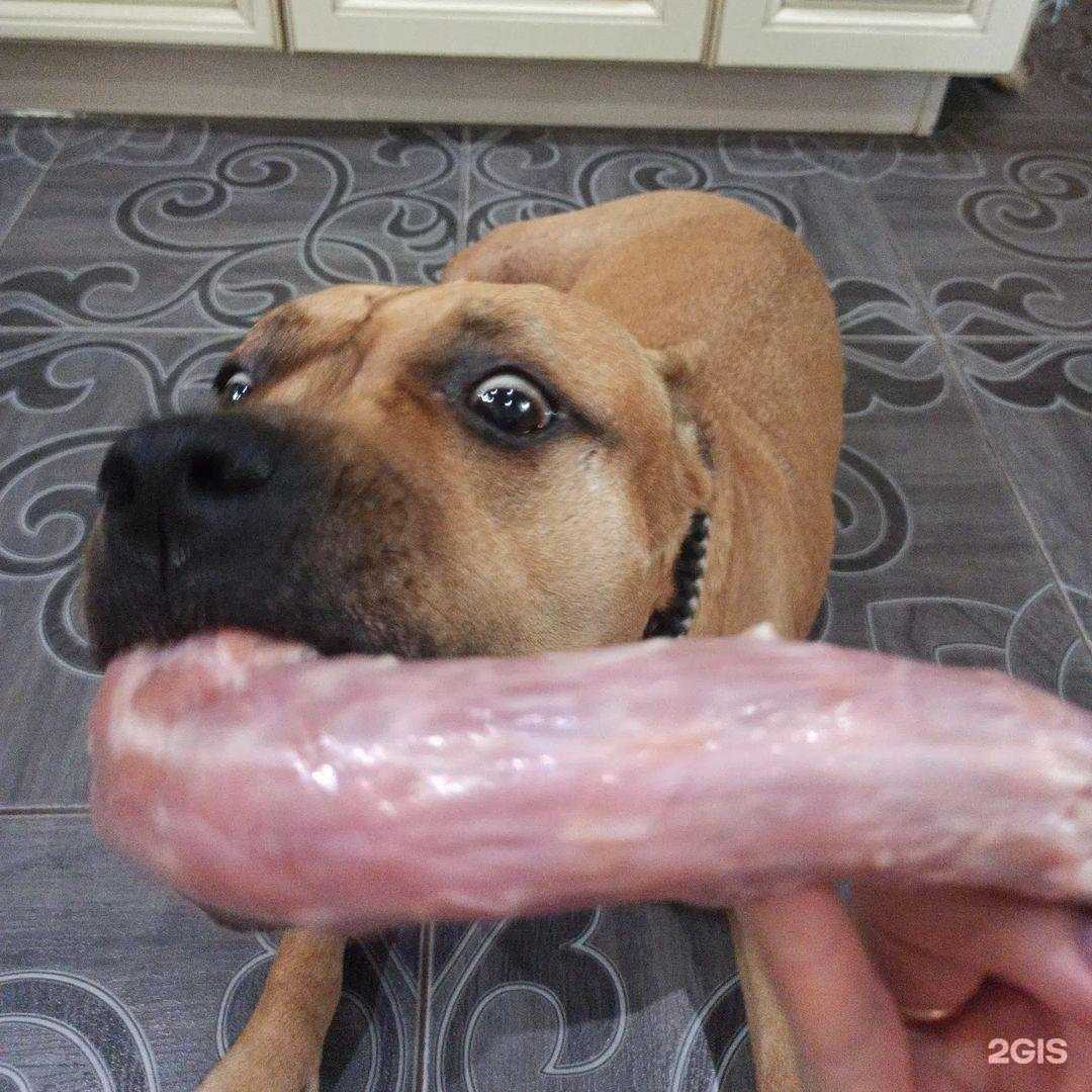 Отзывы на компанию ЗооМания в Краснодаре c фото