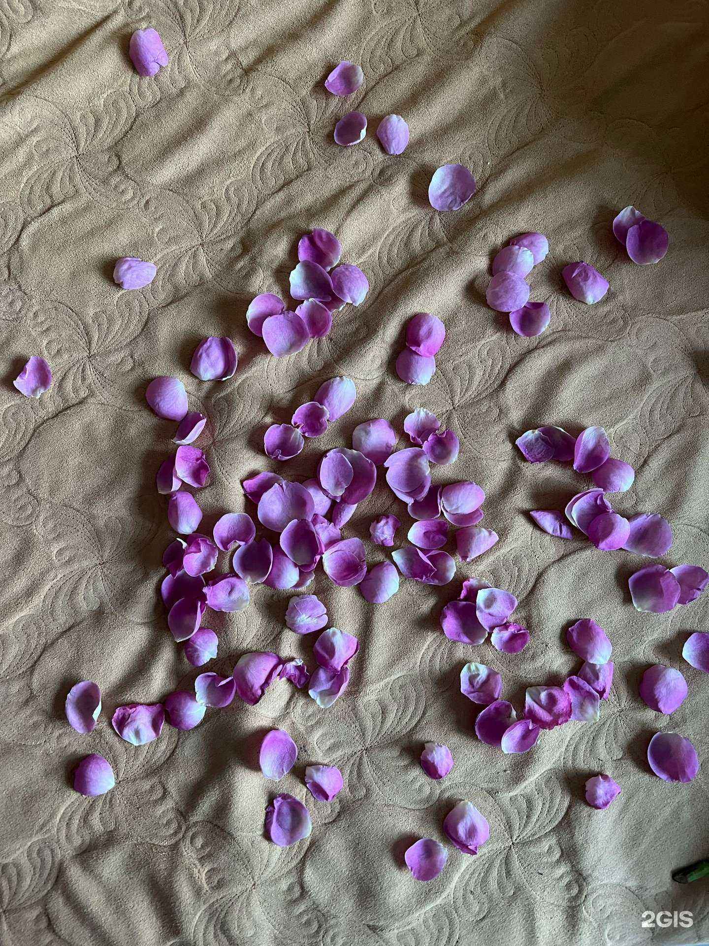 Отзывы на компанию Магазин цветов и воздушных шаров в г. Краснодар c фото