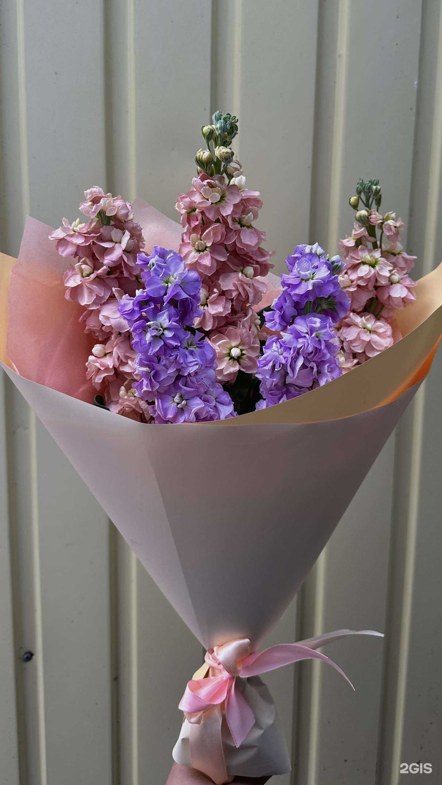 Отзывы на компанию Расцветайка в Вилючинске c фото