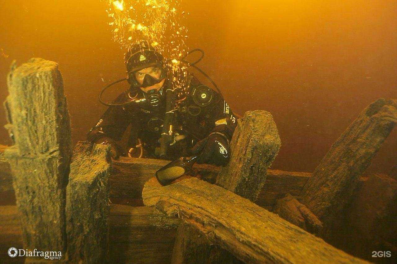 Отзывы на компанию ДИВО в Орле c фото