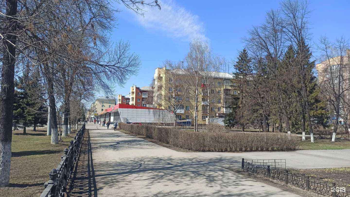 Отзывы на компанию Zoltan в Новокузнецке c фото - фотография 2 из 2