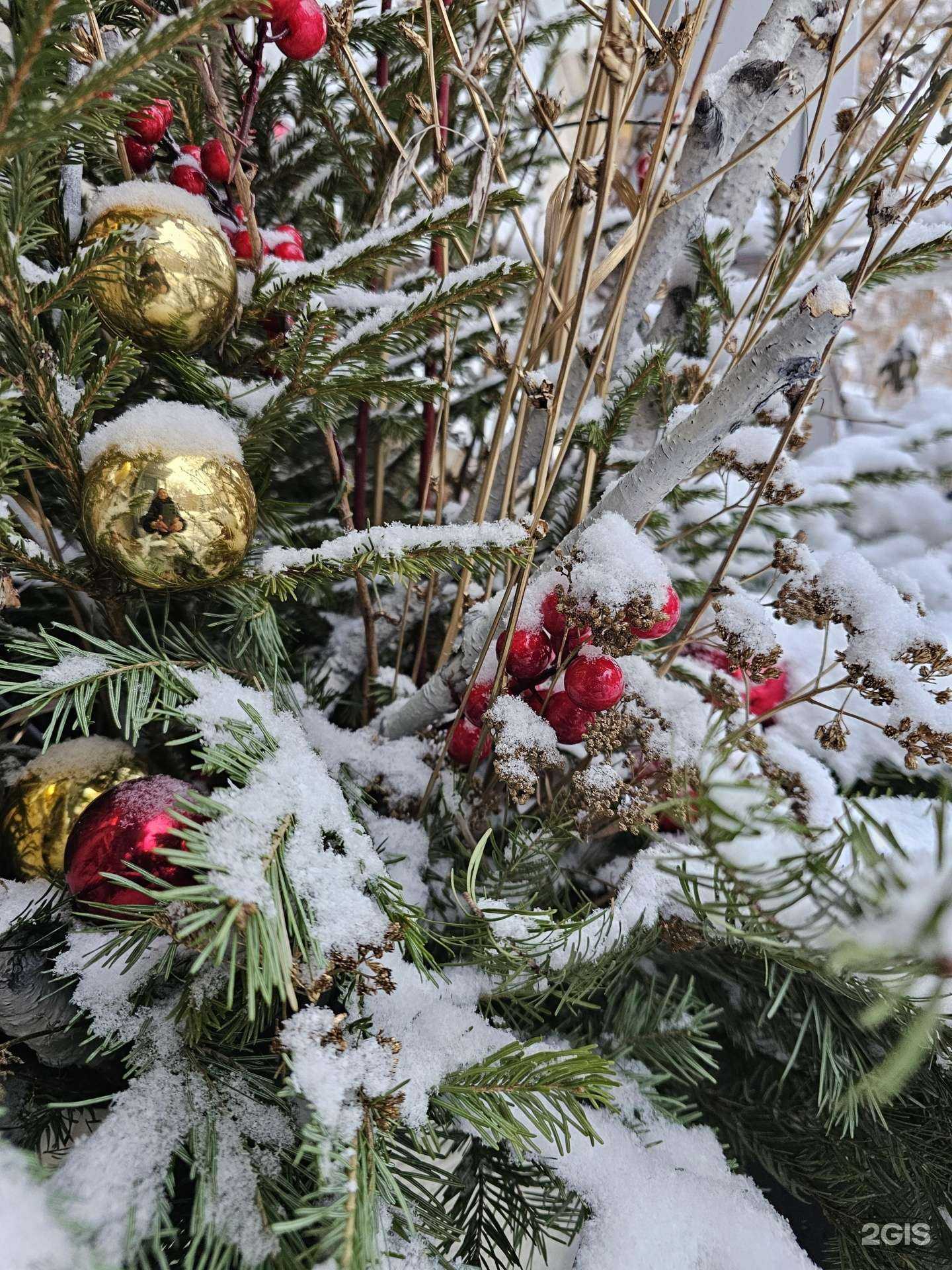 Отзывы на компанию Альтако в г. Челябинск c фото