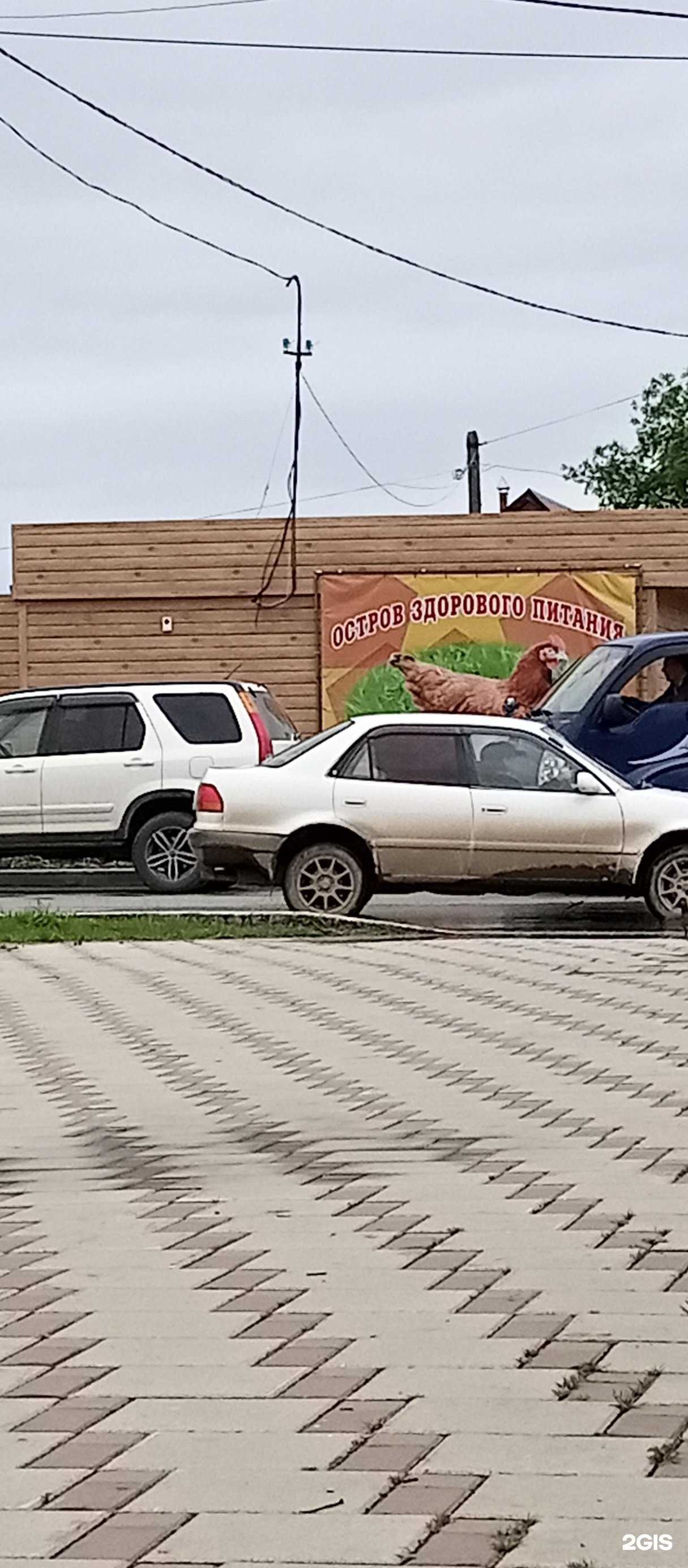 Отзывы на компанию Птицефабрика островная в Аниве c фото