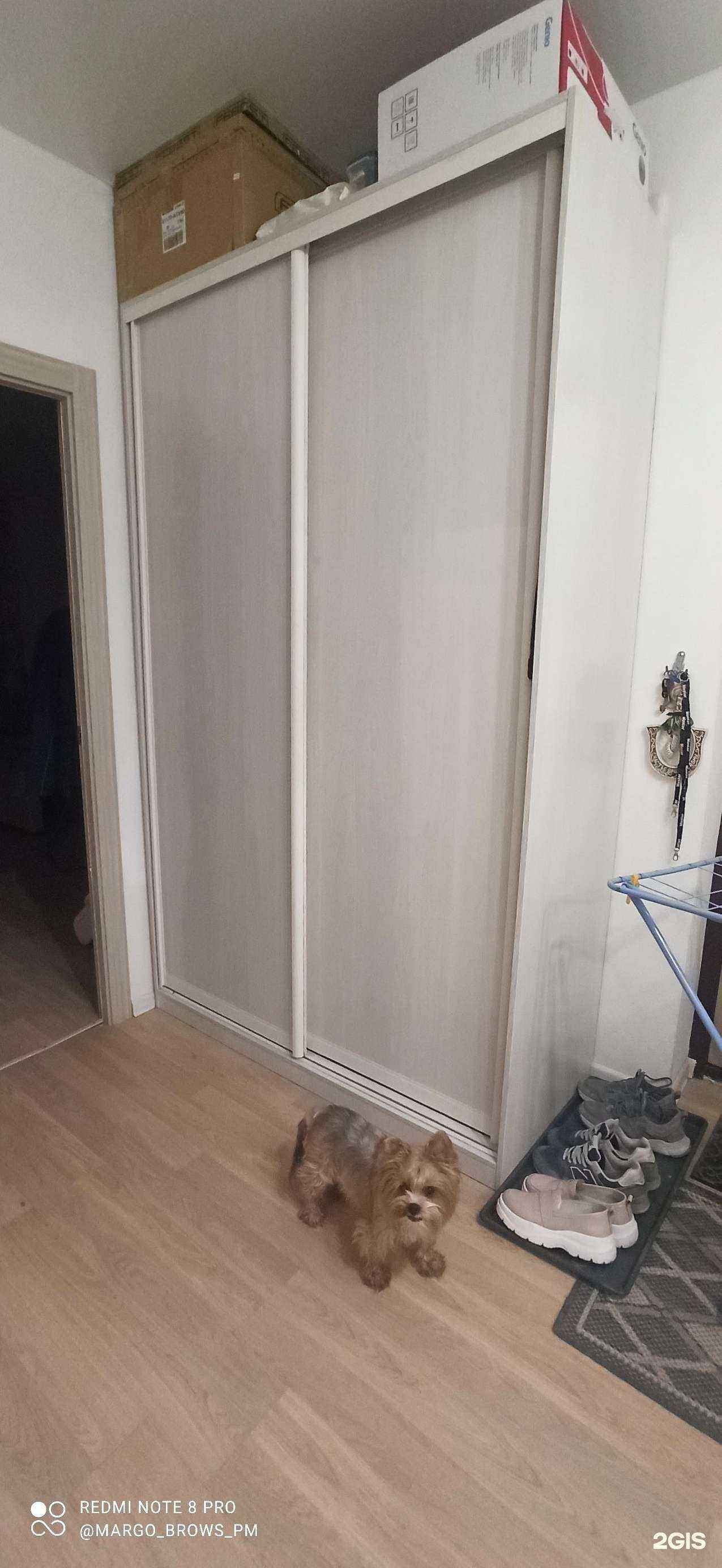 Отзывы на компанию Rio mobili в Екатеринбурге c фото