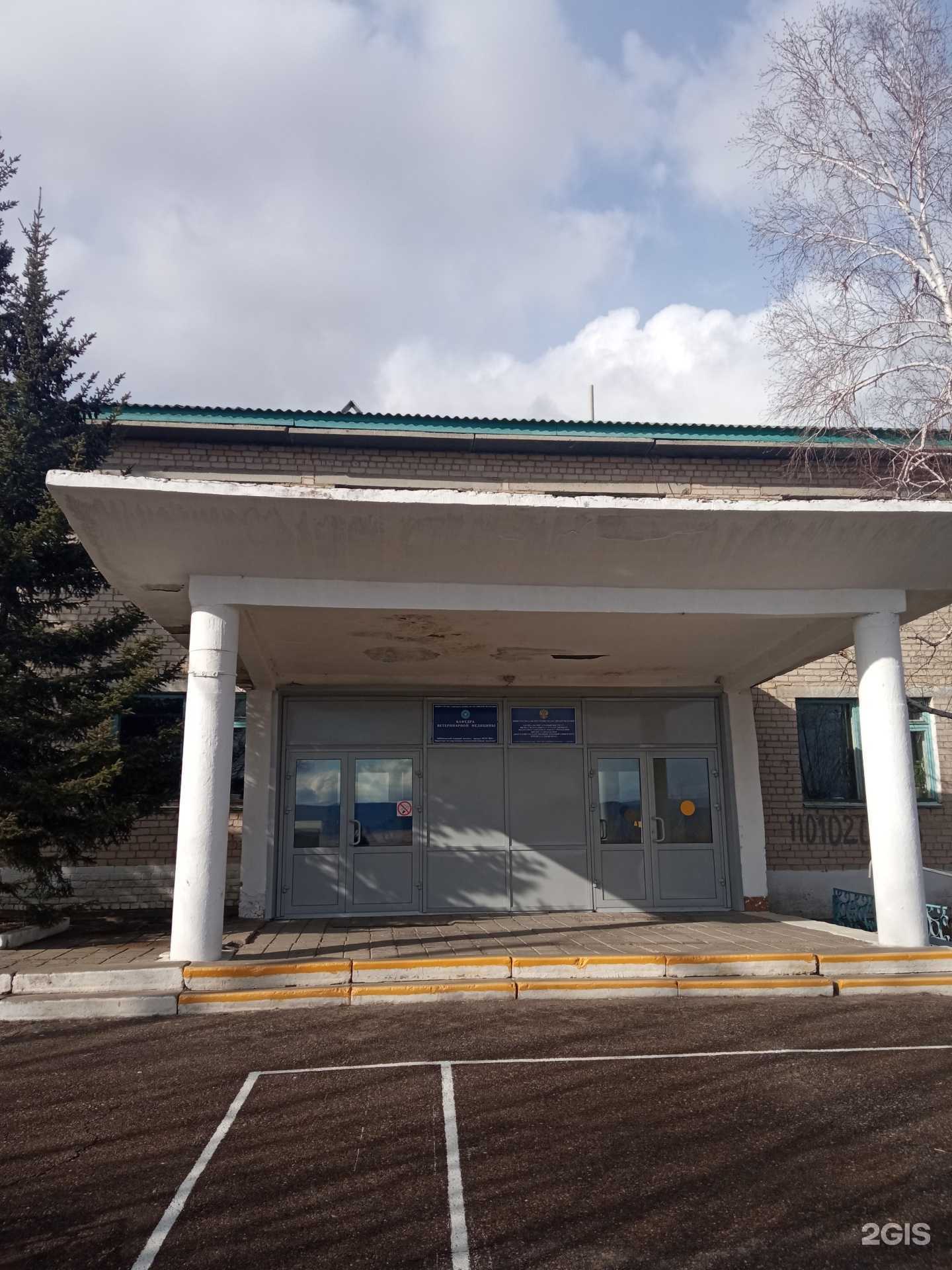 Отзывы на компанию Забайкальский аграрный институт в Чите c фото