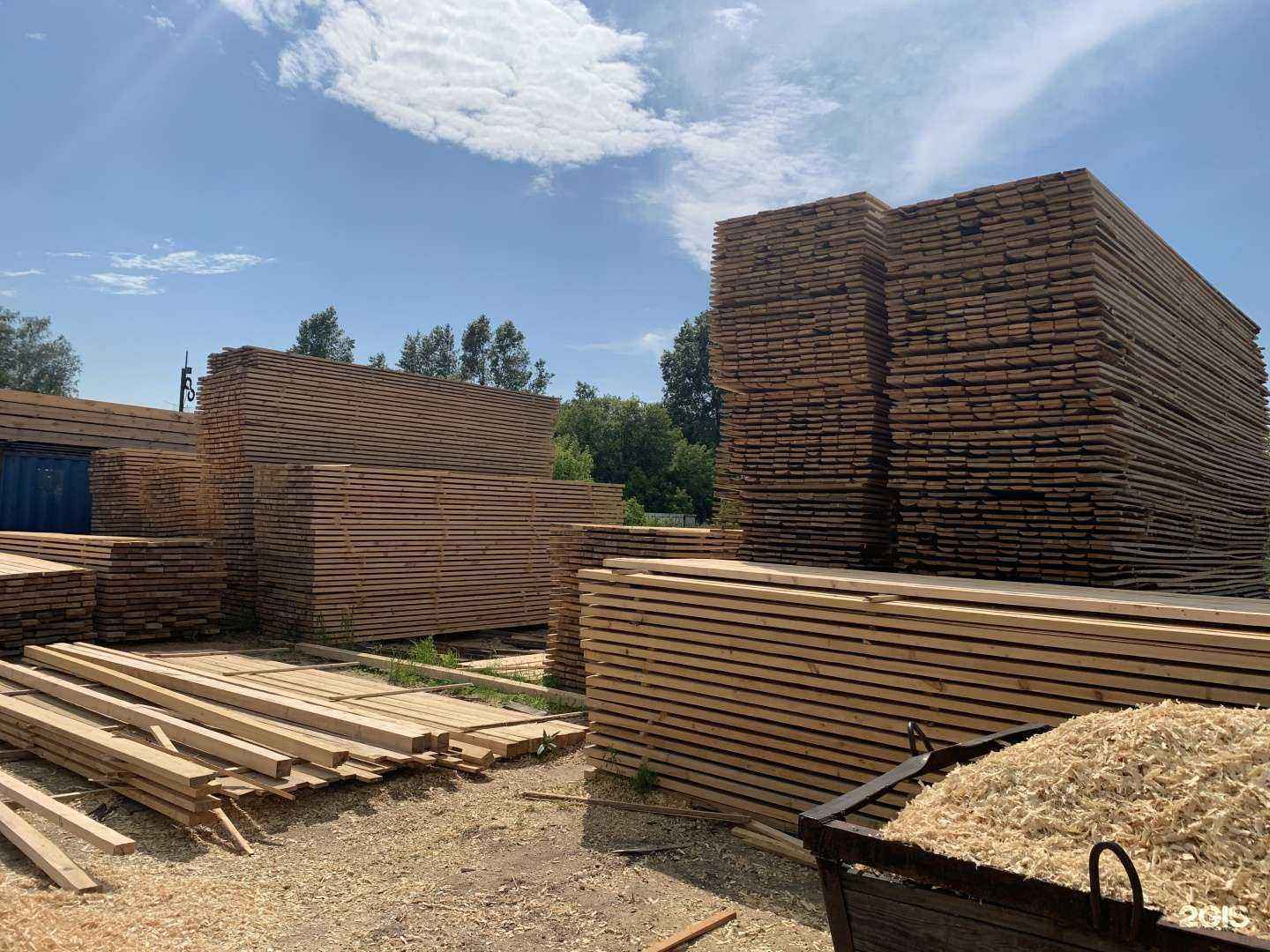 Отзывы на компанию Альянс в Новосибирске c фото