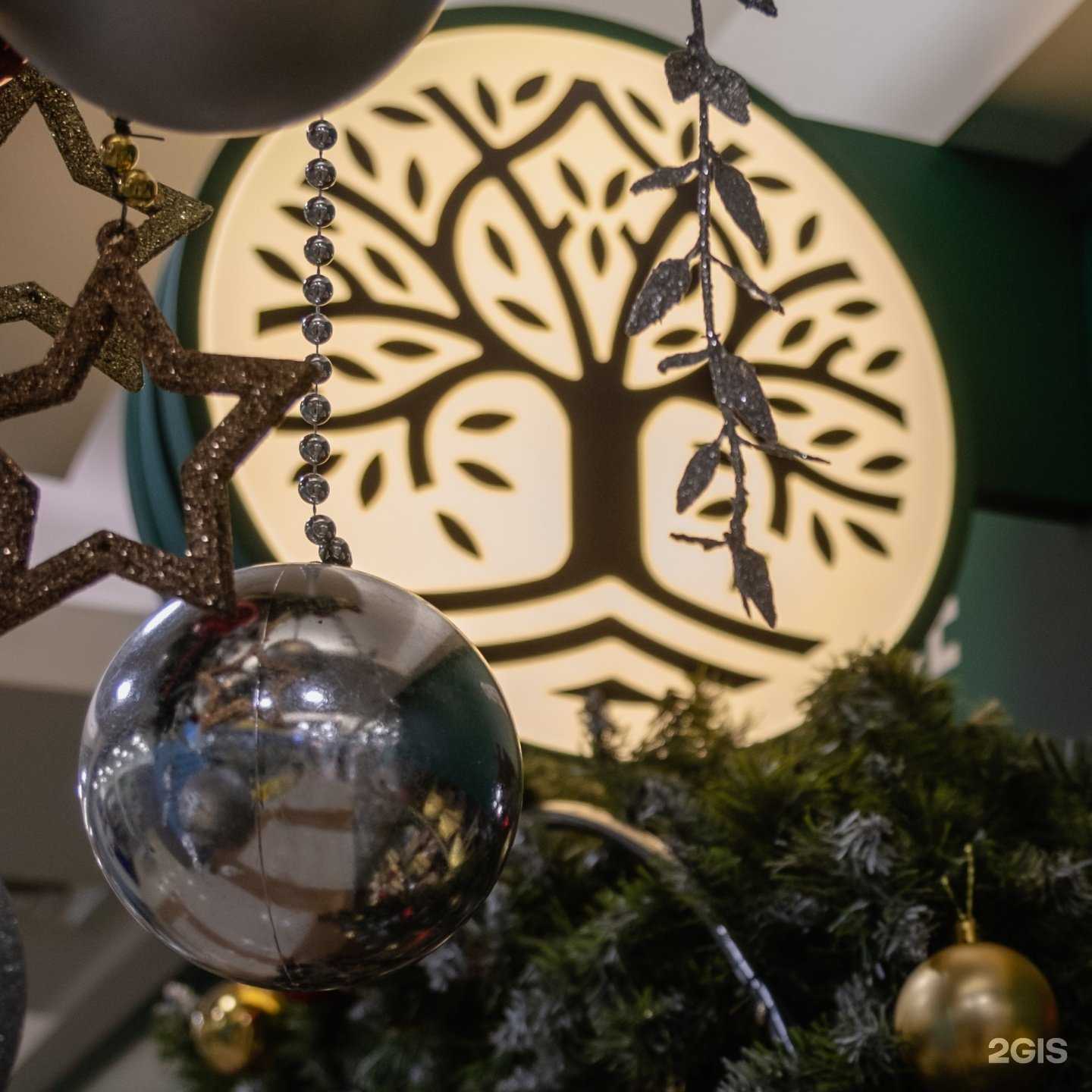 Отзывы на компанию Чайное дерево в Екатеринбурге c фото