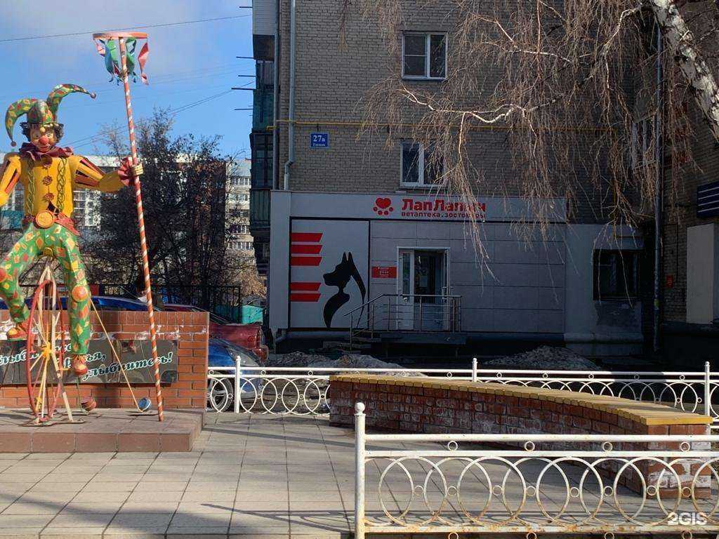 Отзывы на компанию Лап Лапыч в Новосибирске c фото