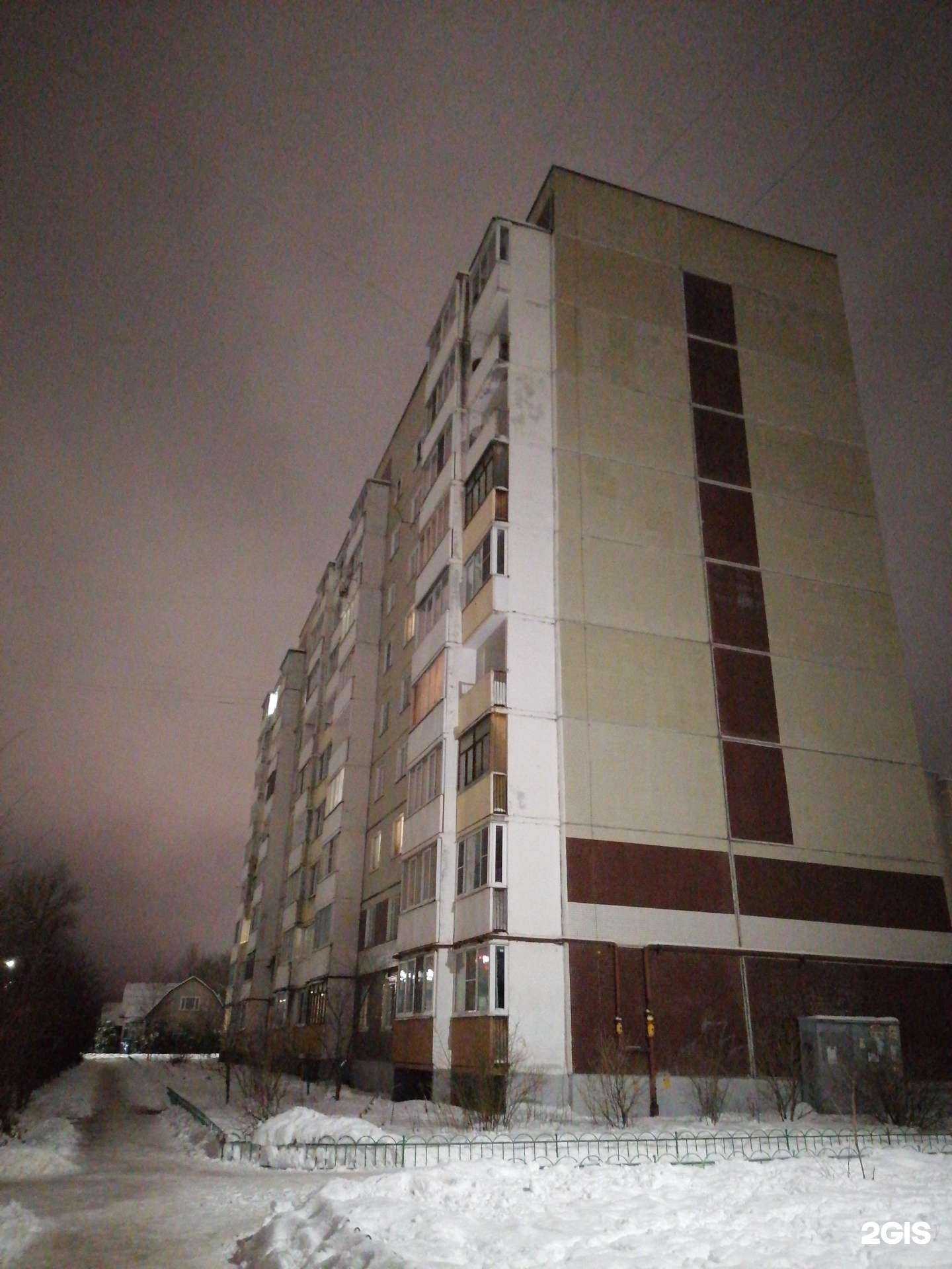 Отзывы на компанию Зооветсервис в Великом Новгороде c фото - фотография 2 из 2