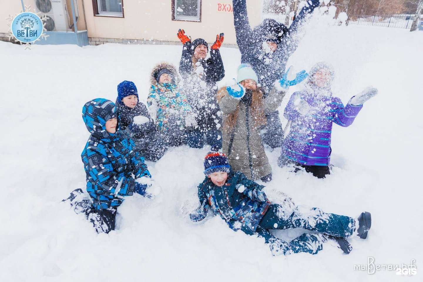 Отзывы на компанию Ветви в г. Пермь c фото