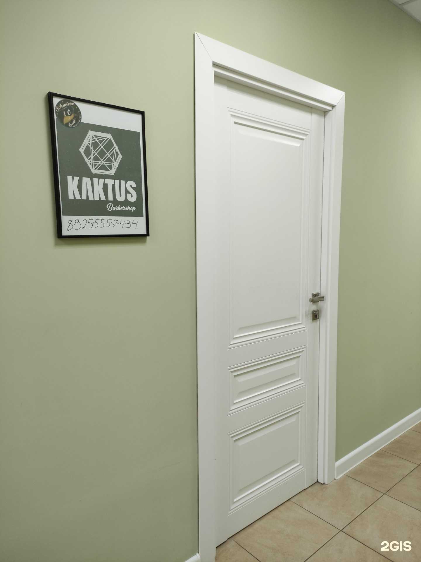 Отзывы на компанию Kaktus в г. Истра c фото