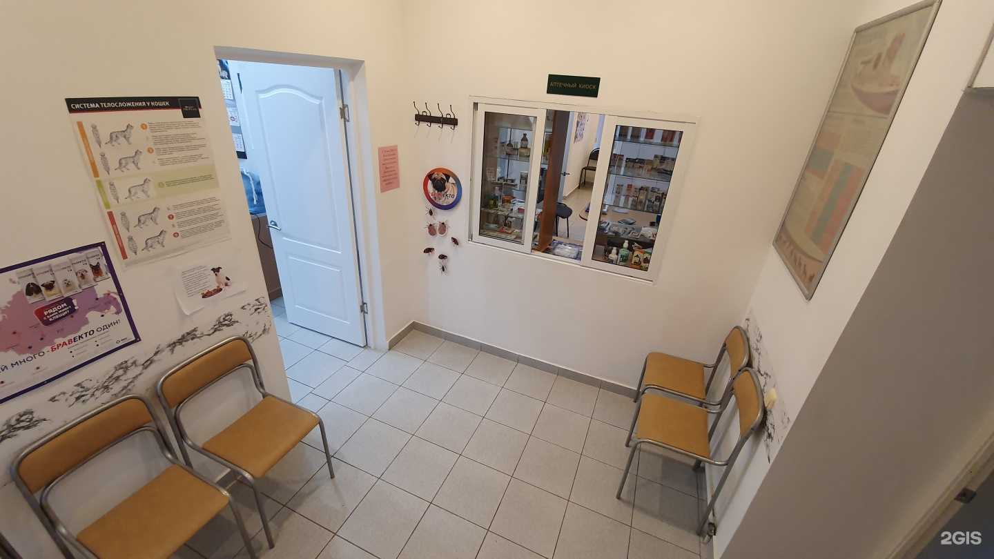 Отзывы на компанию Альтернатива в г. Волжский c фото