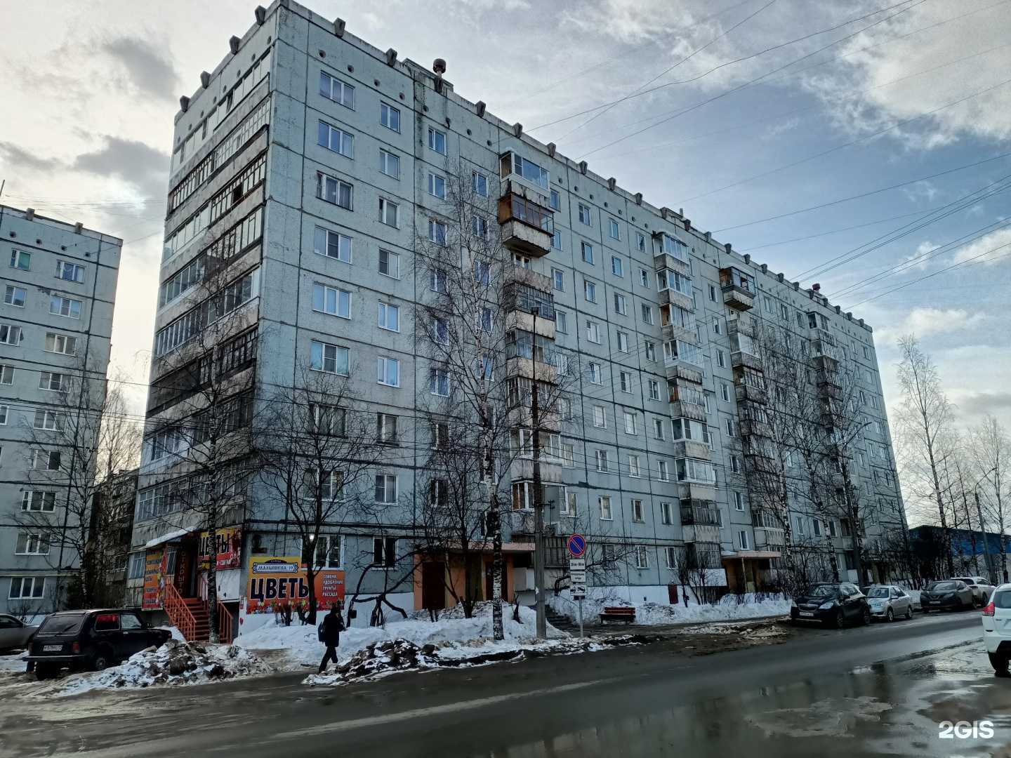 Отзывы на компанию Цветы Севера в Сыктывкаре c фото - фотография 2 из 2