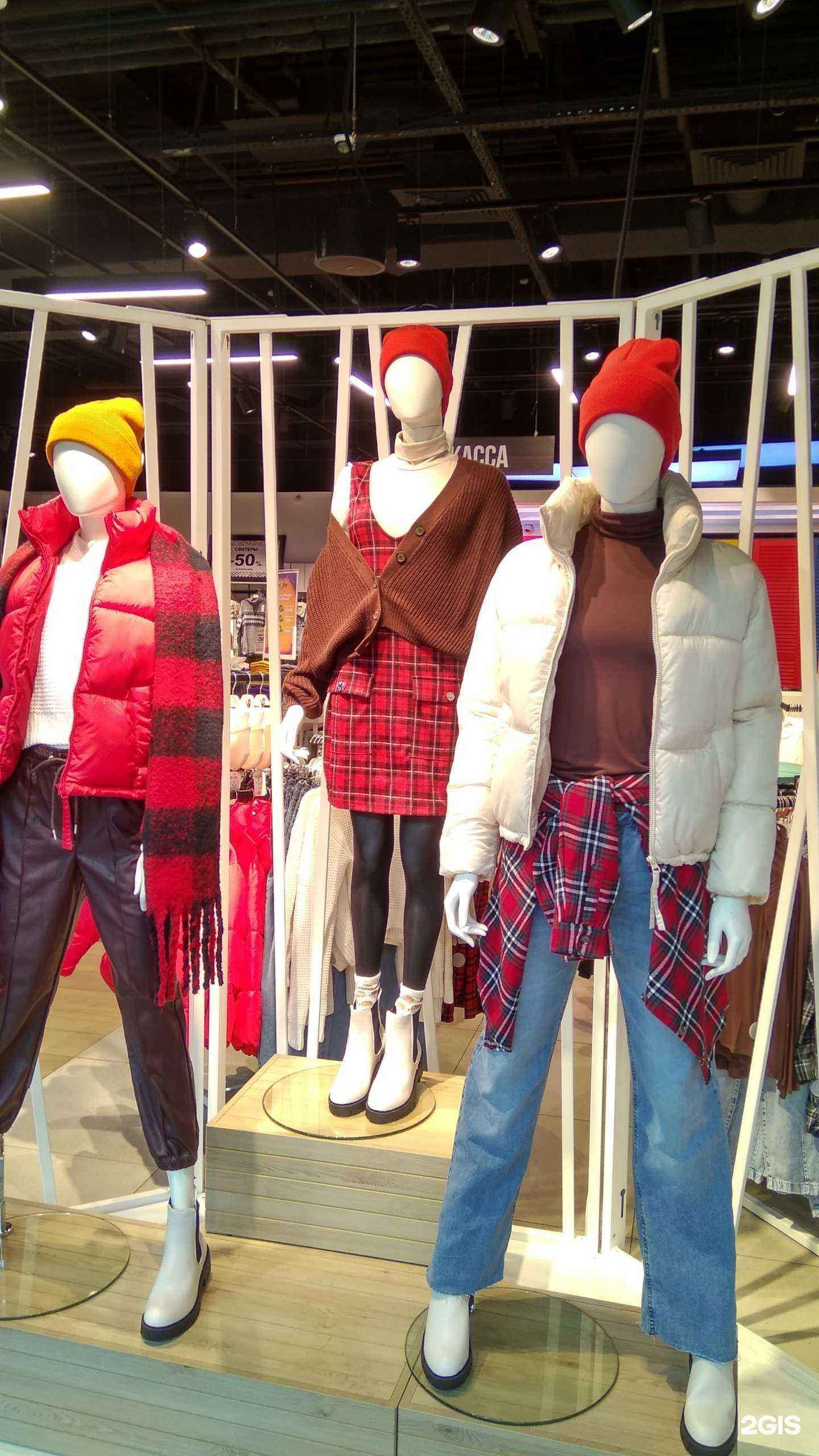 Отзывы на компанию Terranova в Тольятти c фото