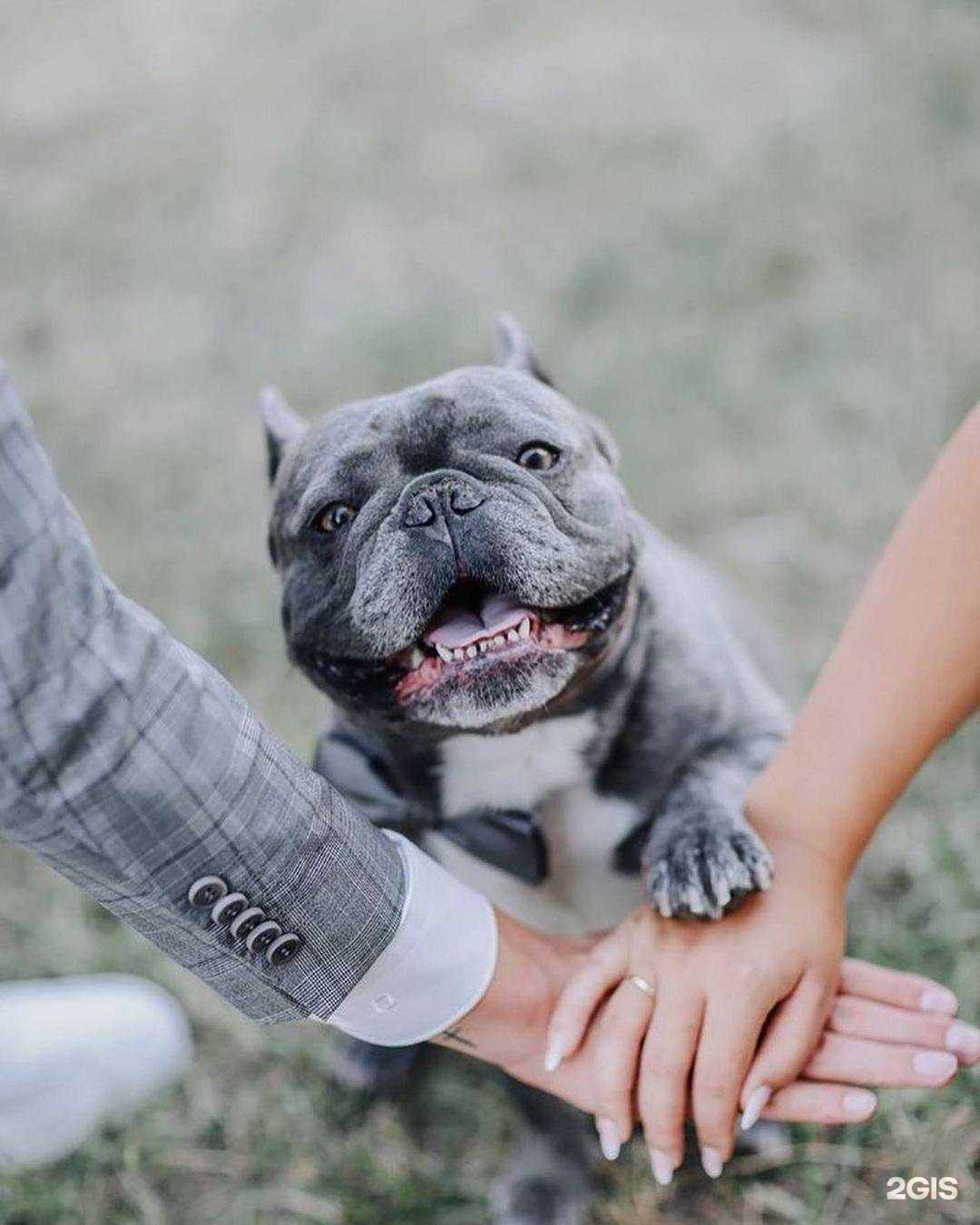 Отзывы на компанию ЗооМир в г. Петрозаводск c фото