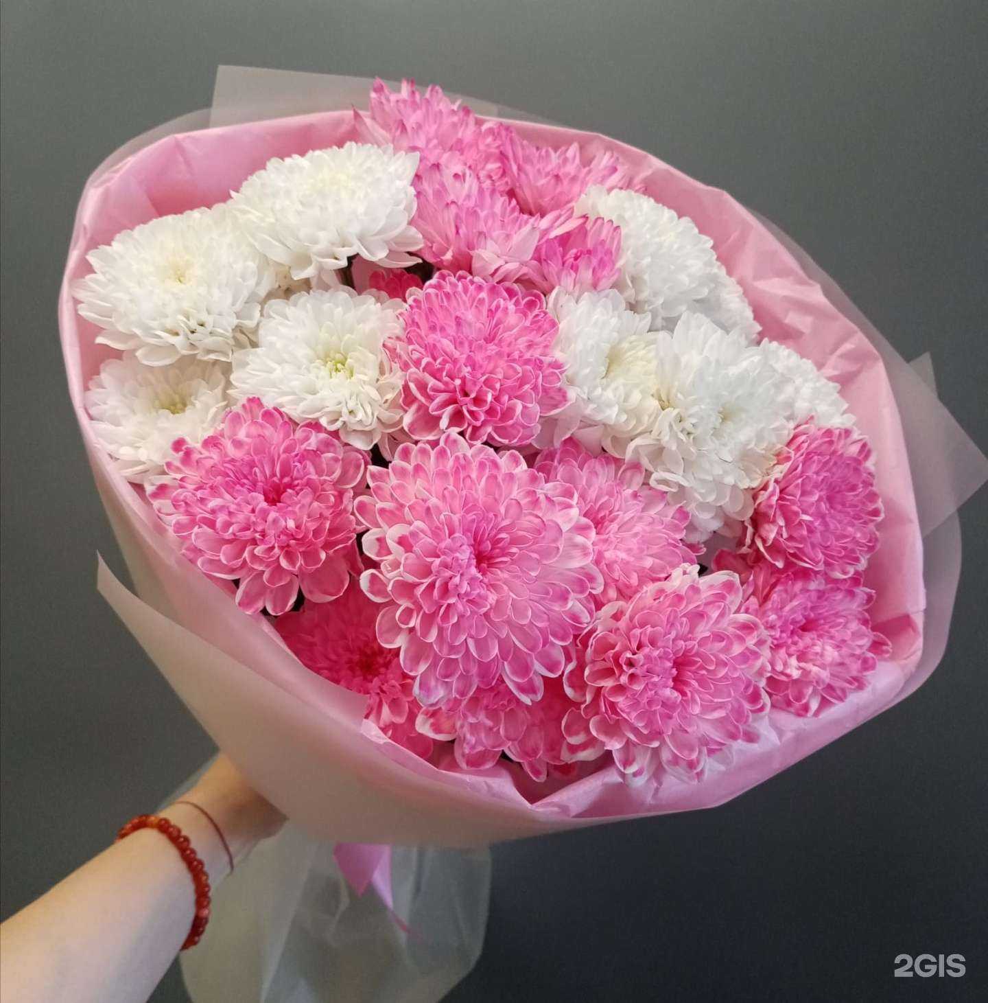 Отзывы на компанию Фиалка в Омске c фото