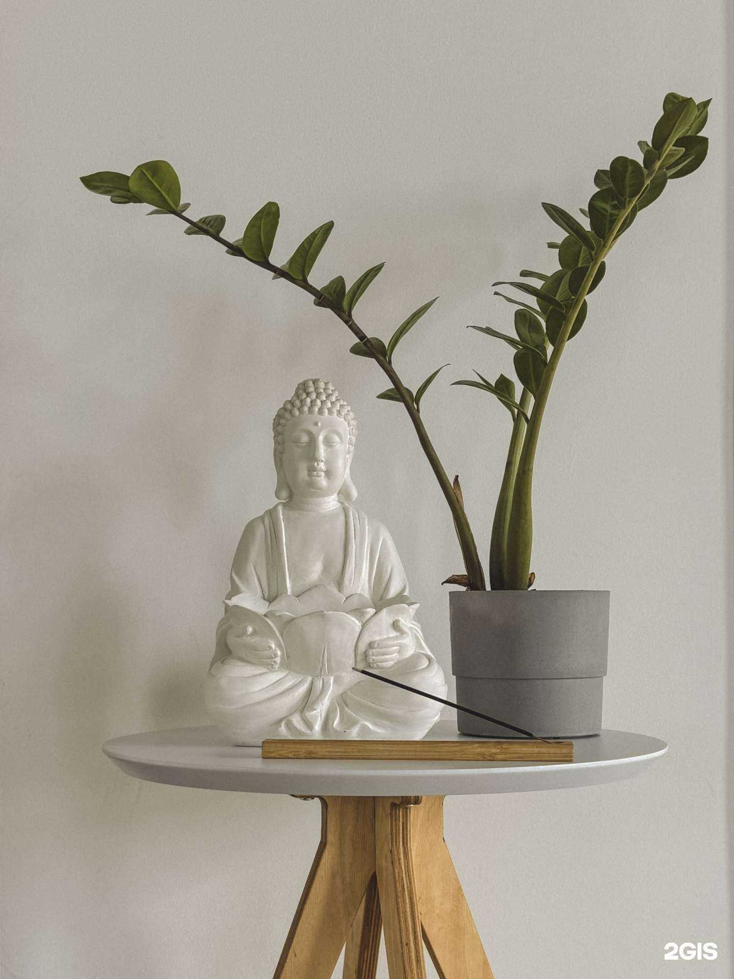 Отзывы на компанию Om Studio в Уфе c фото