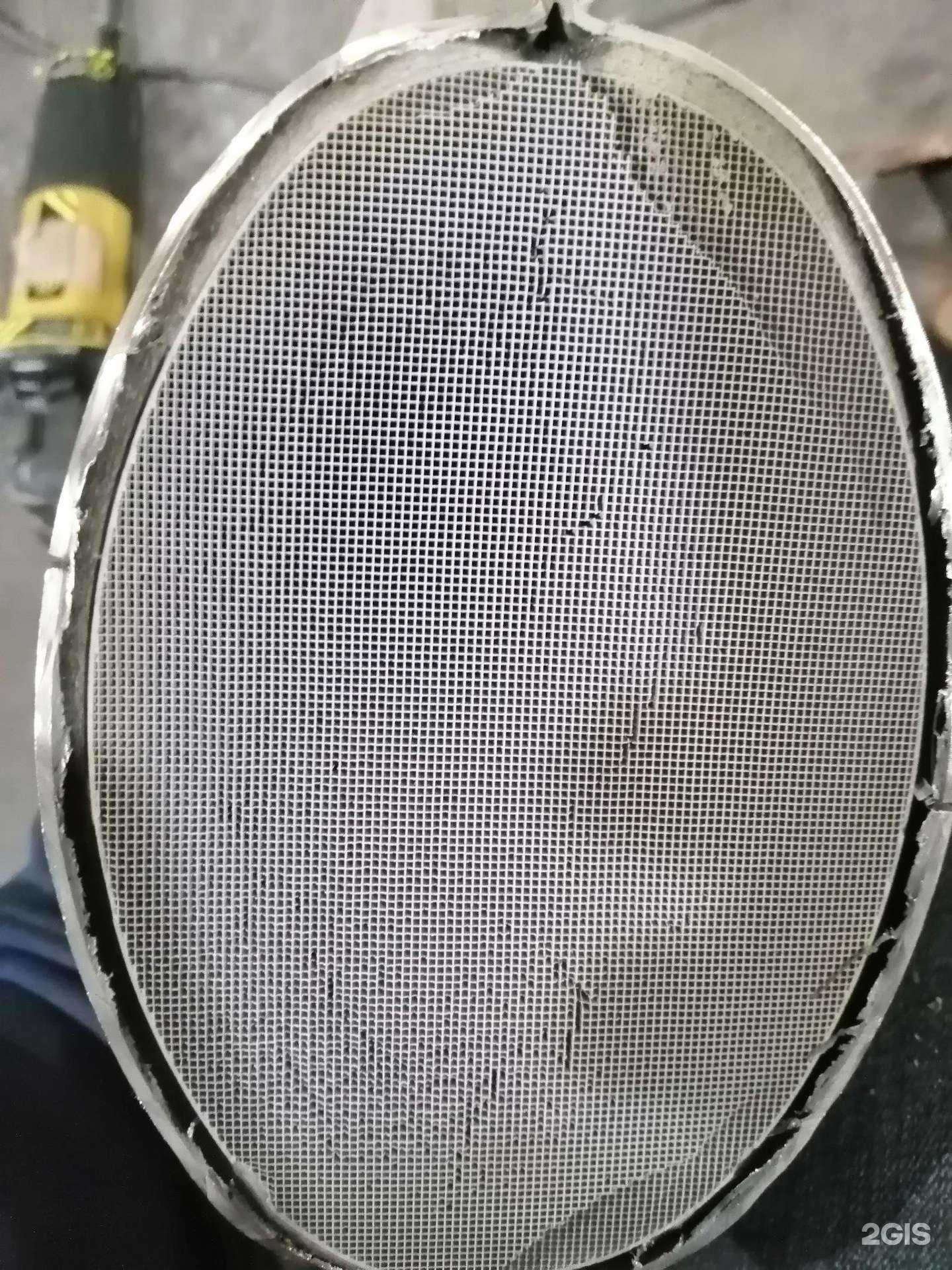 Отзывы на компанию Катсервис 56 в г. Оренбург c фото