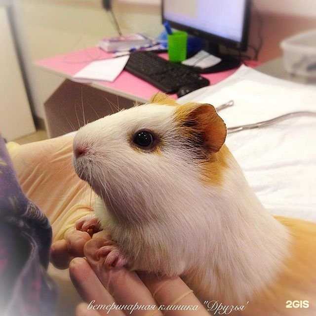 Отзывы на компанию Друзья в Белгороде c фото