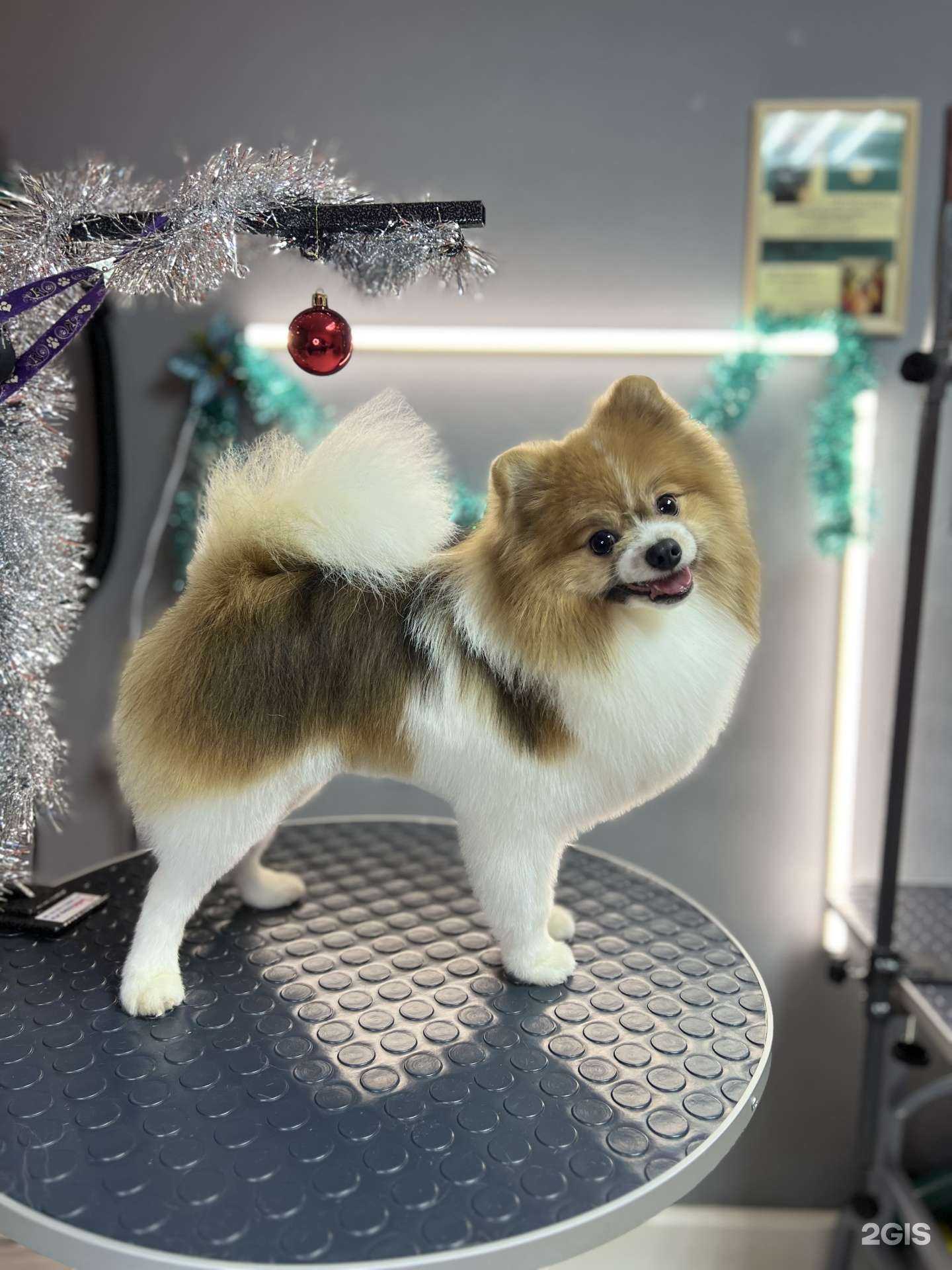 Отзывы на компанию Groom_from_lily в Жуковском c фото