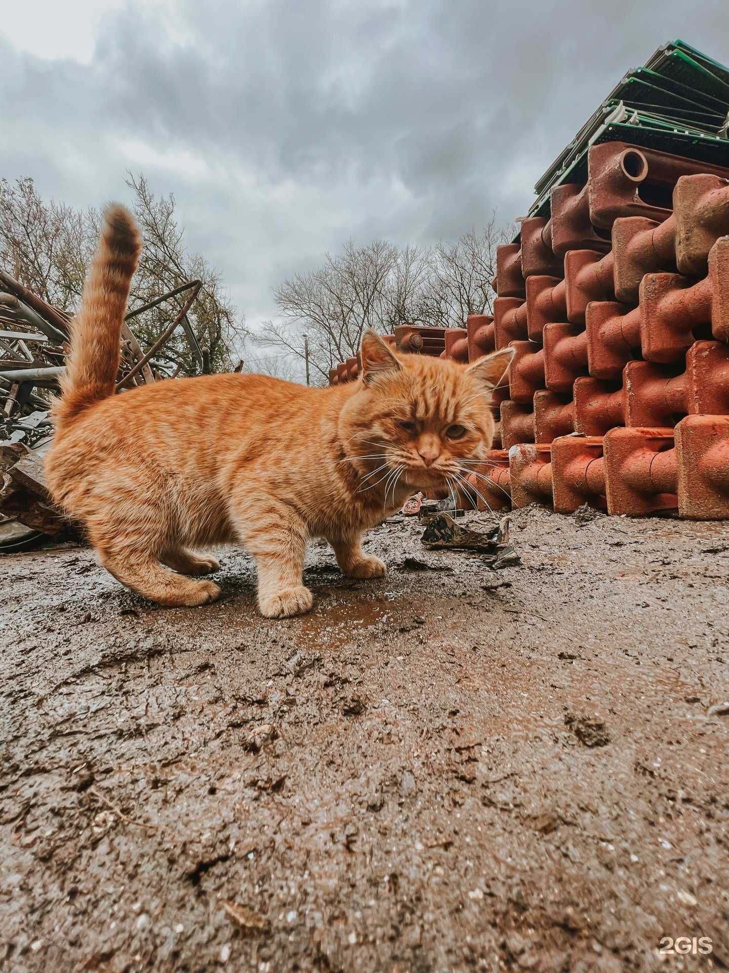 Отзывы на компанию Прессмет в г. Тула c фото
