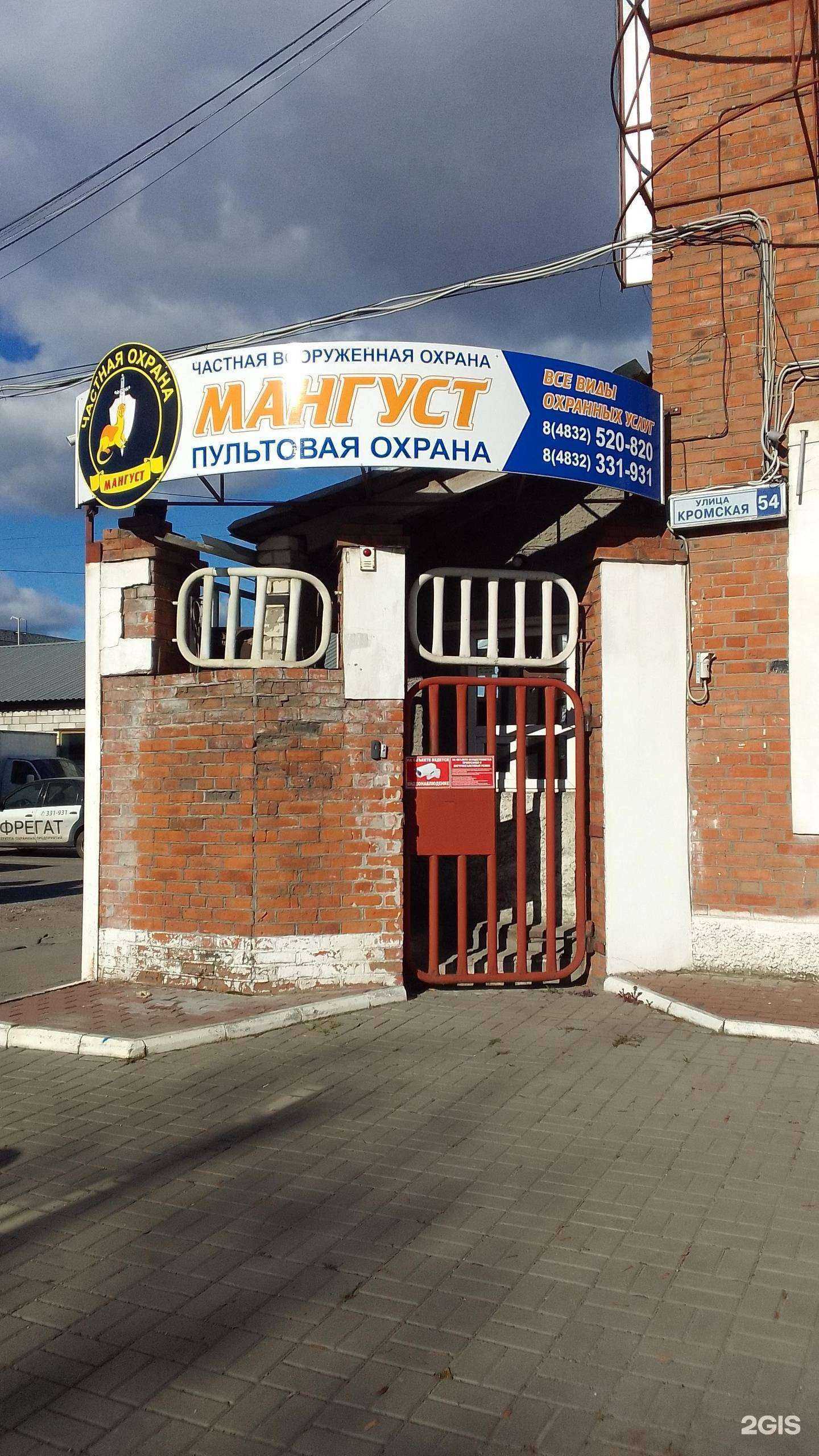 Отзывы на компанию Мангуст в г. Брянск c фото