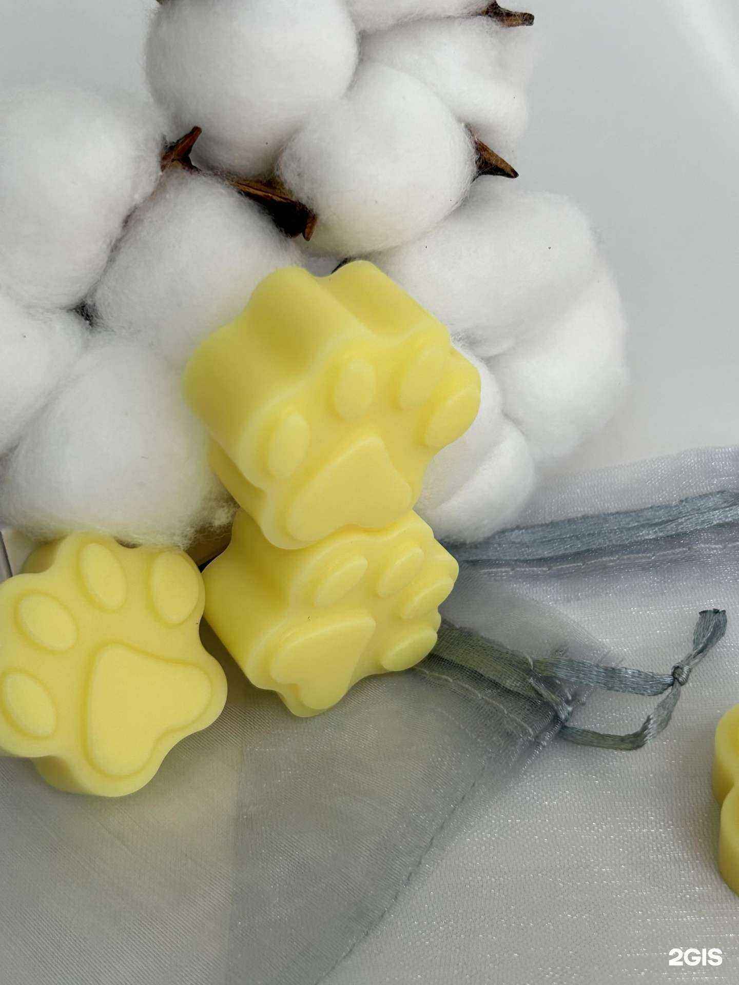 Отзывы на компанию Солнечный Лев в Ставрополе c фото