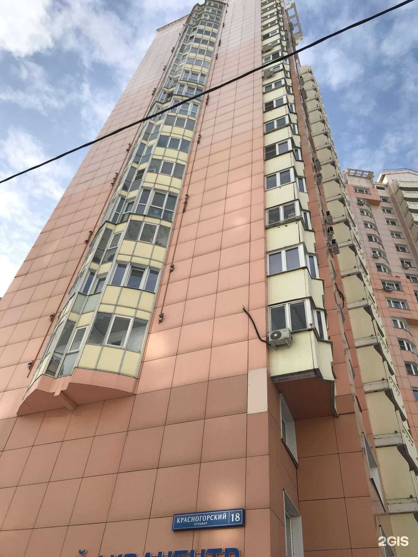 Отзывы на компанию Пингви Кидс в Красногорске c фото - фотография 2 из 2