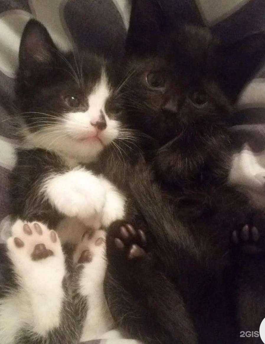 Отзывы на компанию Велоцентр 67 в Смоленске c фото - фотография 2 из 2