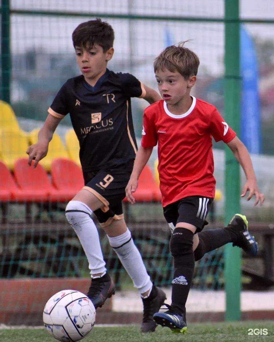 Отзывы на компанию Рост в Сочи c фото