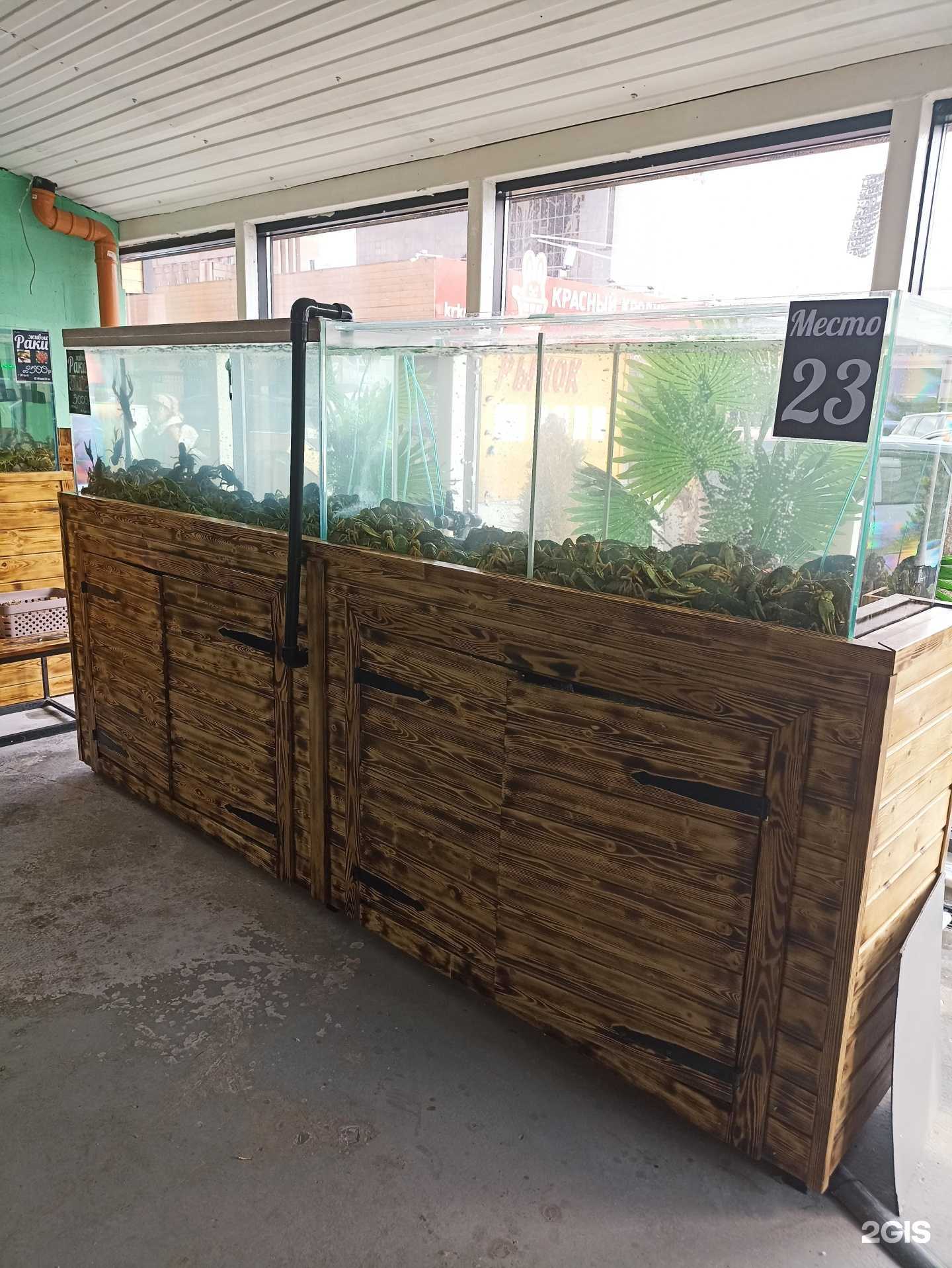 Отзывы на компанию Магазин живых раков и морепродуктов в г. Новосибирск c фото