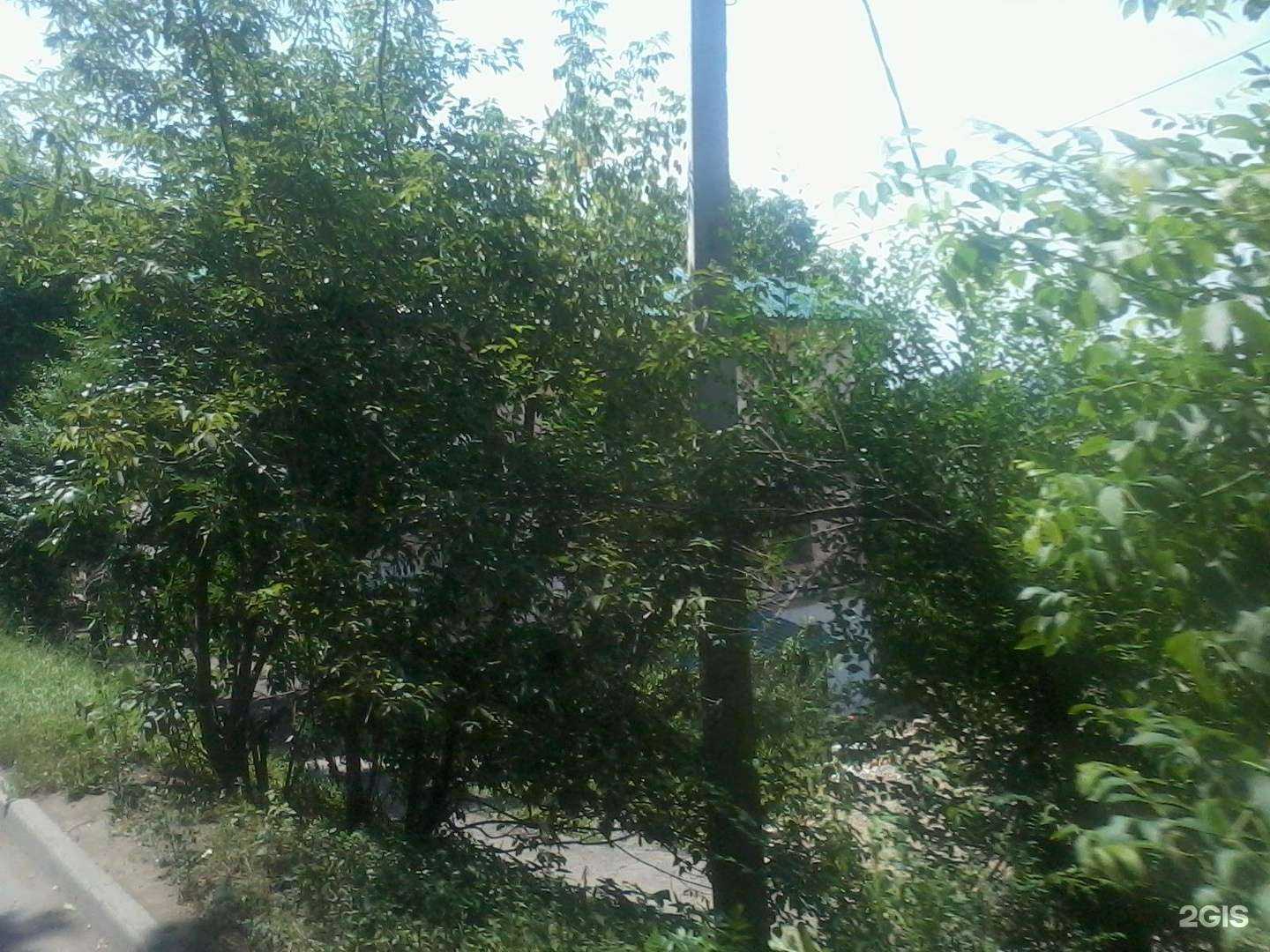 Отзывы на компанию Альбеа-дент в Владивостоке c фото