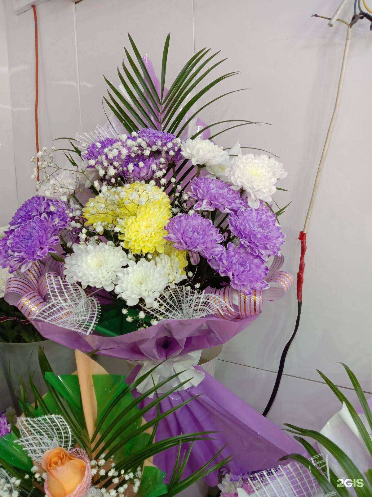 Отзывы на компанию Алена в г. Барнаул c фото