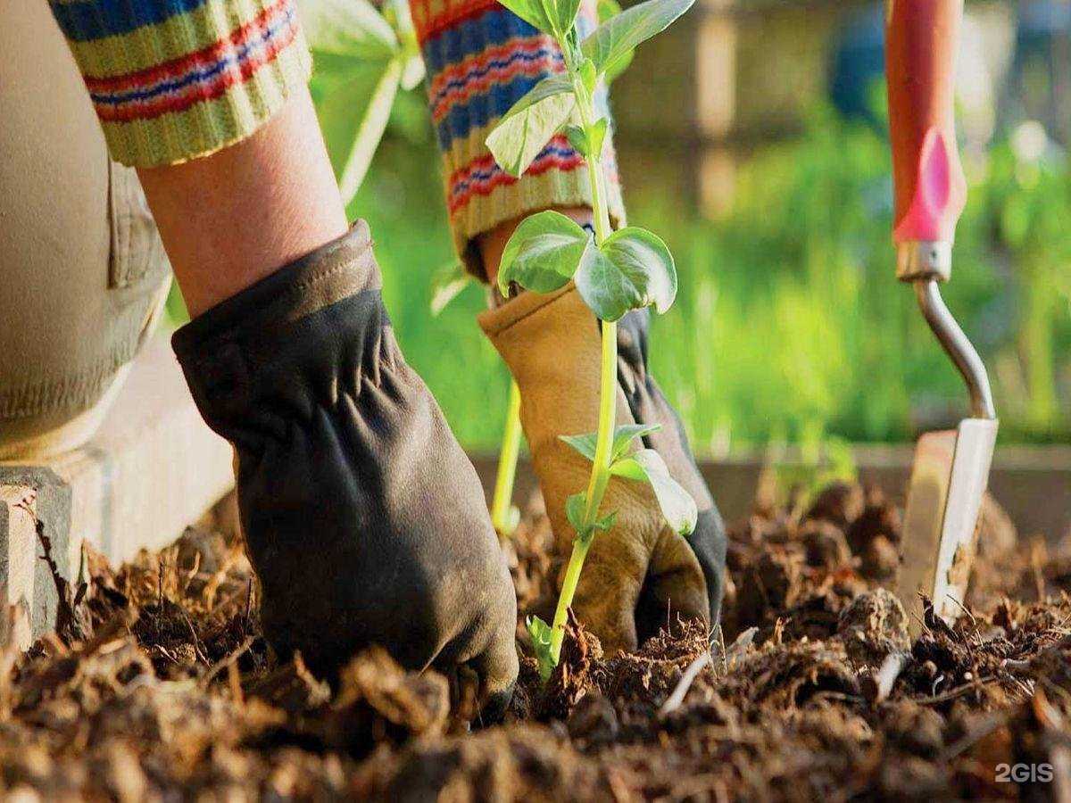 Отзывы на компанию Стройсервис в г. Курган c фото