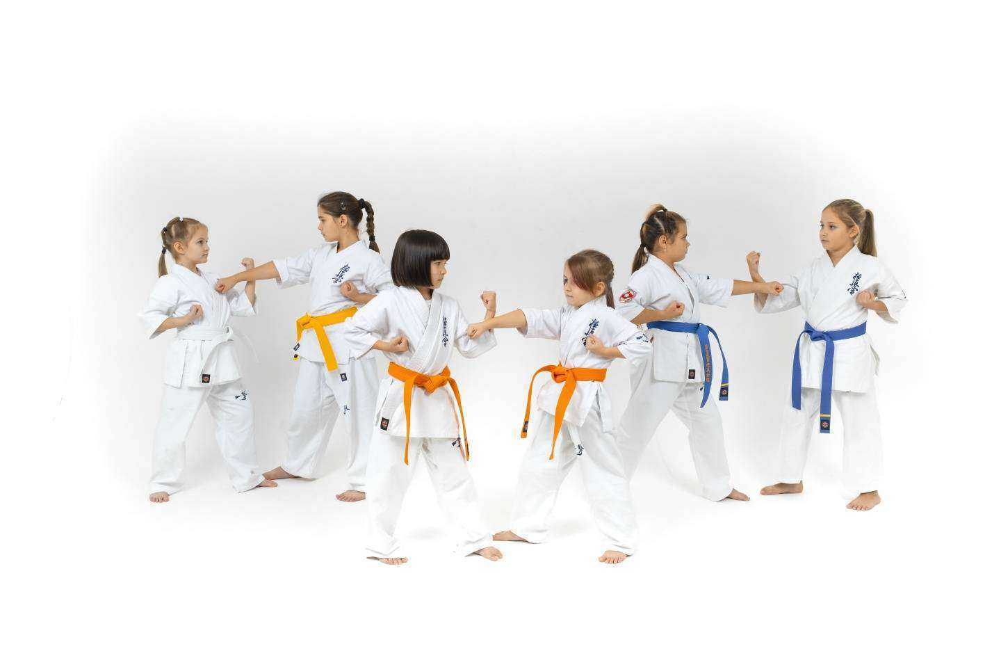 Отзывы на компанию Киокушинкай каратэ-до НГООКК в г. Нижневартовск c фото